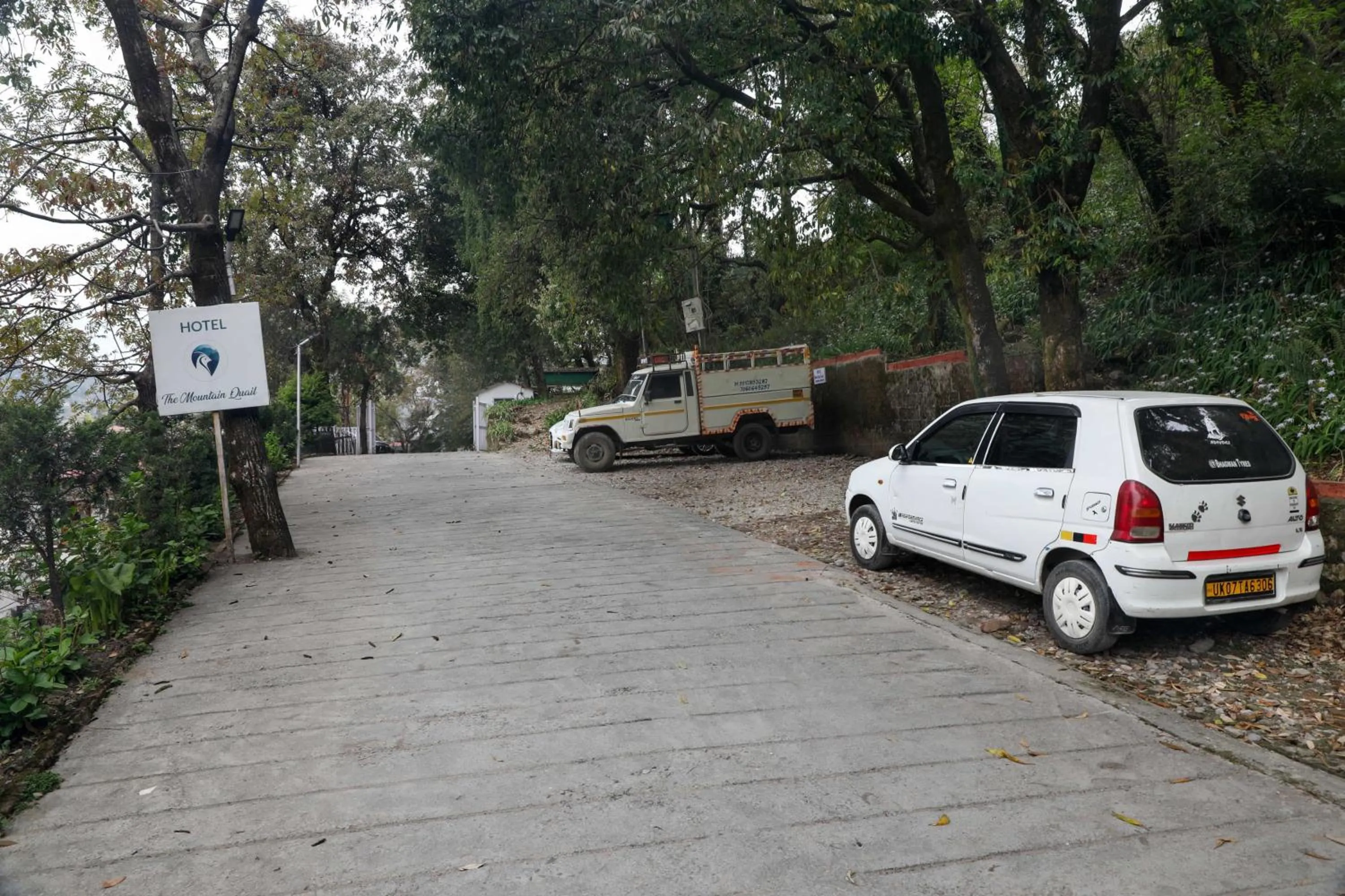 Neighbourhood in The Mountain Quail