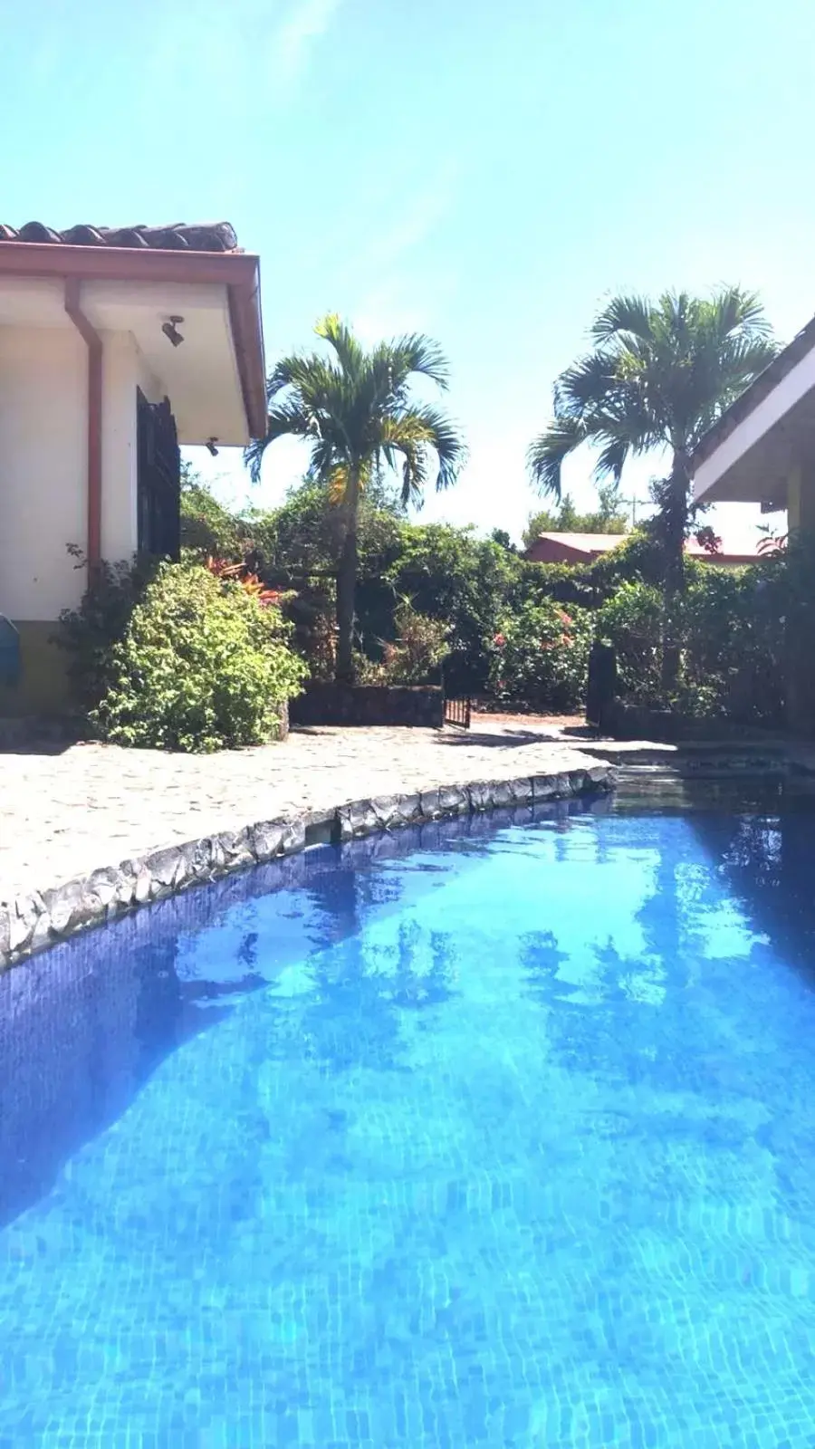 Swimming Pool in Dos Palmas Studio Apartments