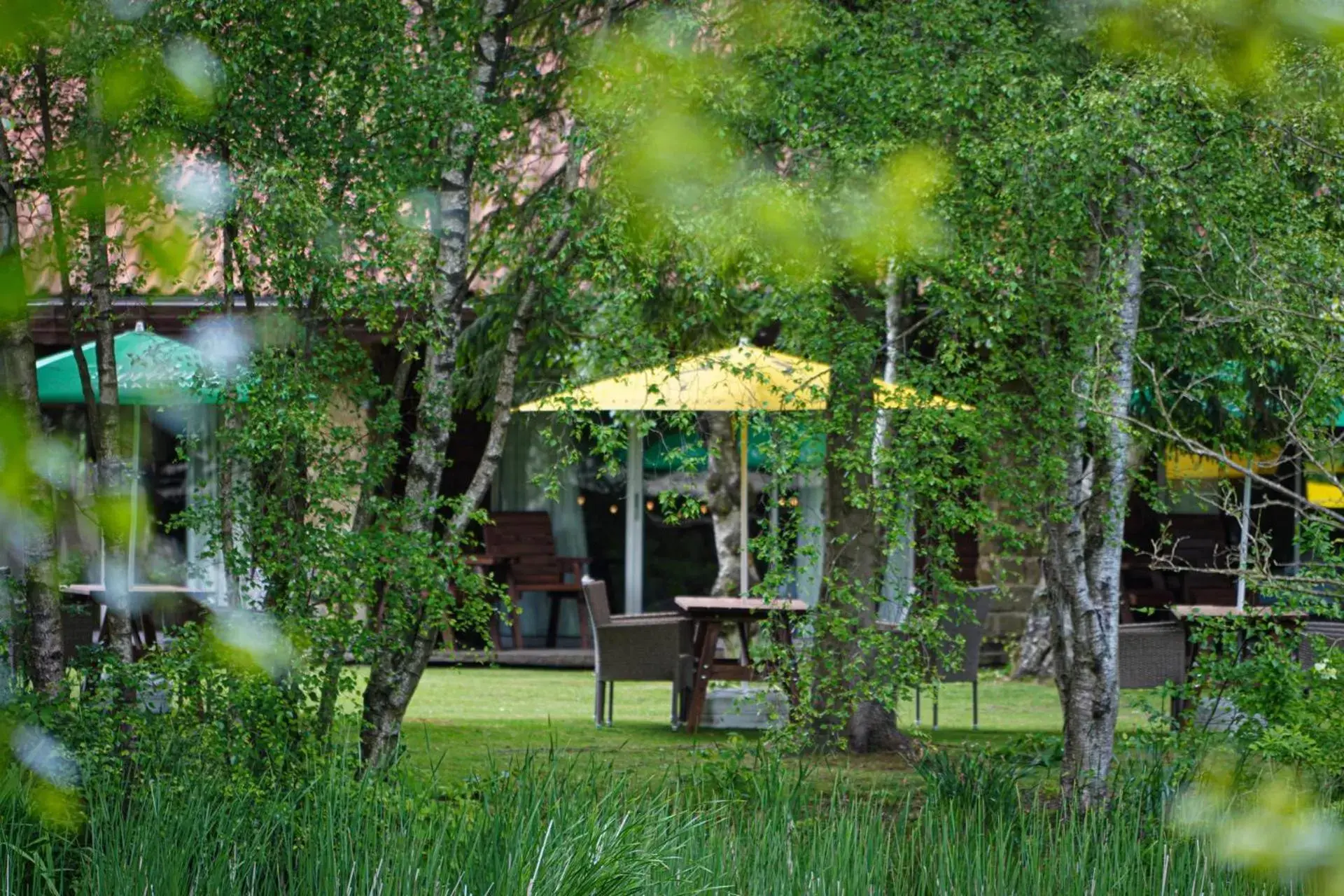 View (from property/room) in Chevin Country Park Hotel & Spa