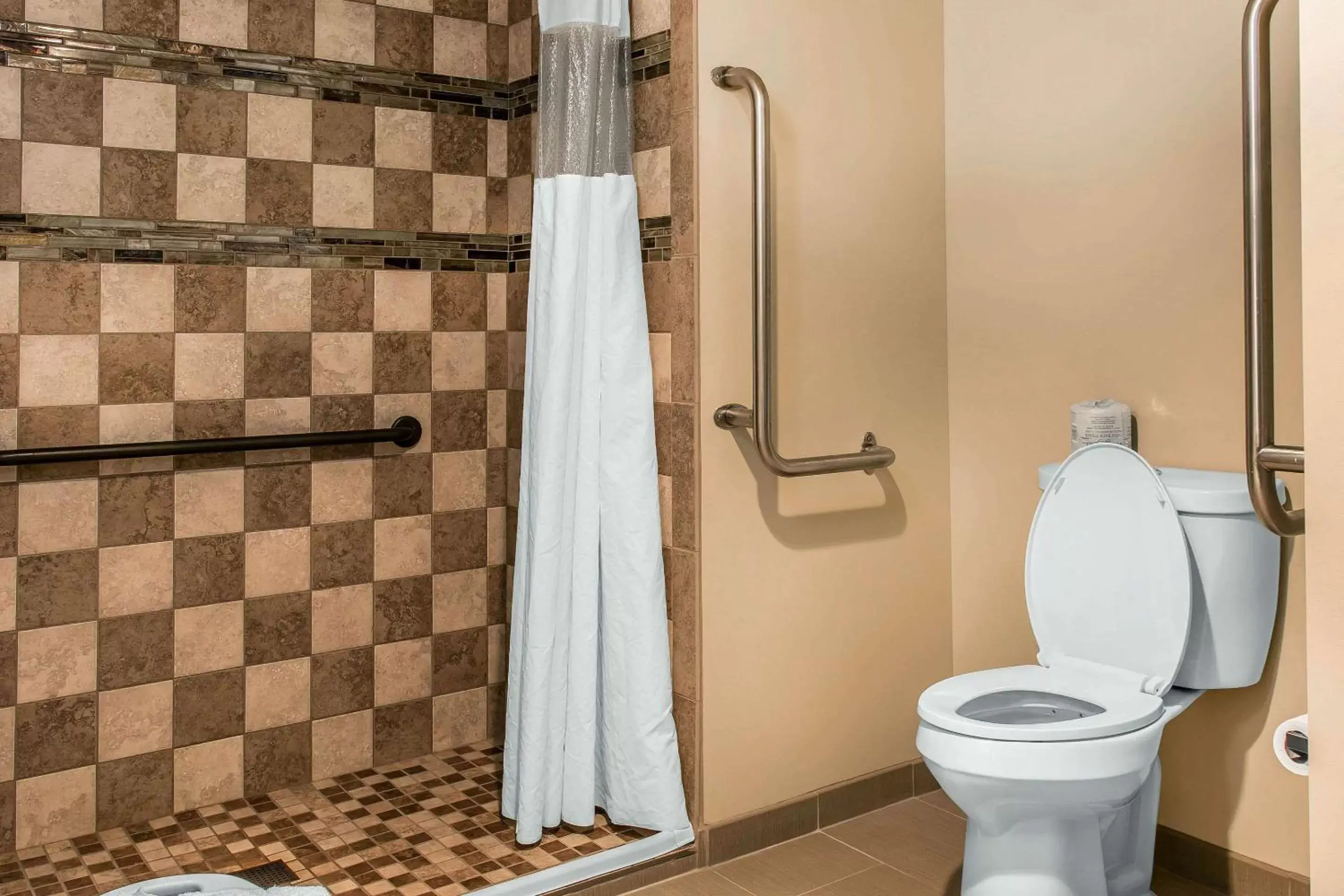 Bathroom in Quality Inn & Suites Houghton