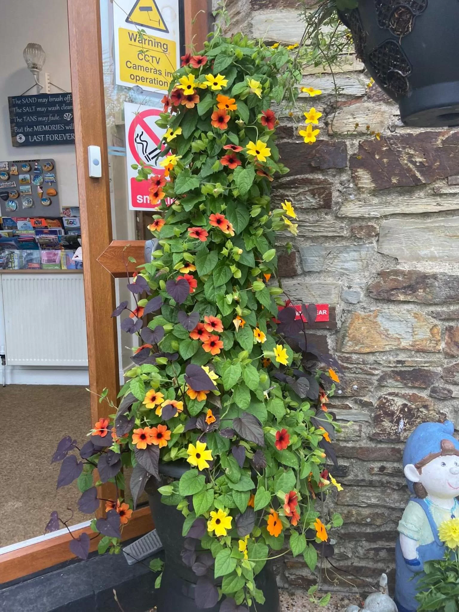 Garden in Aquarius B&B