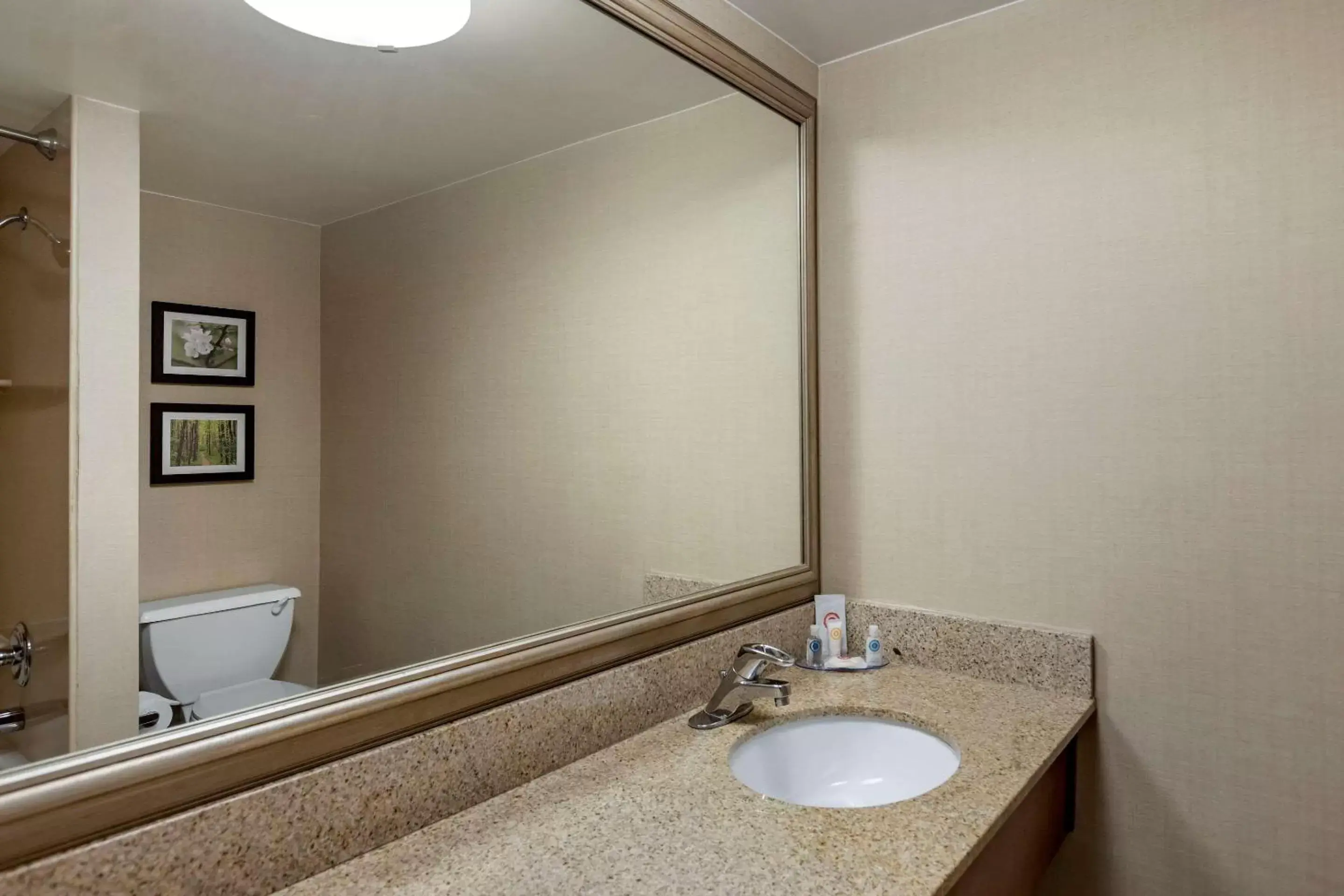 Photo of the whole room, Bathroom in Comfort Inn Lansing