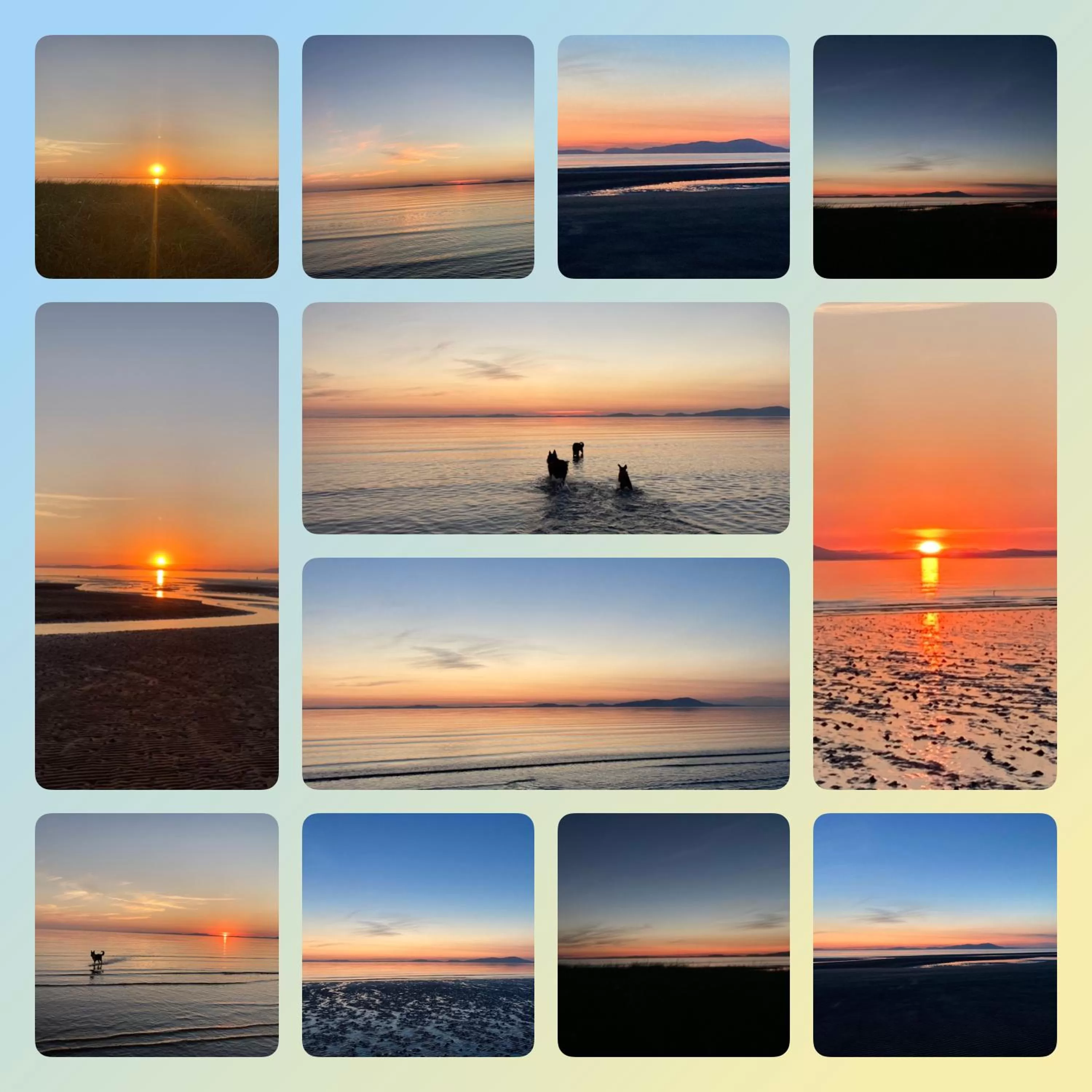 Natural landscape in Maple Bank Country Guest House