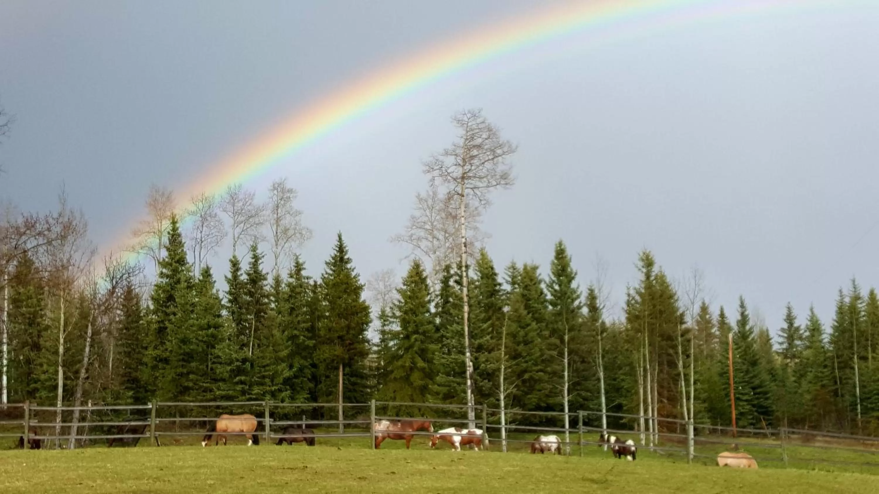 Property building in Wettstone Guest Ranch
