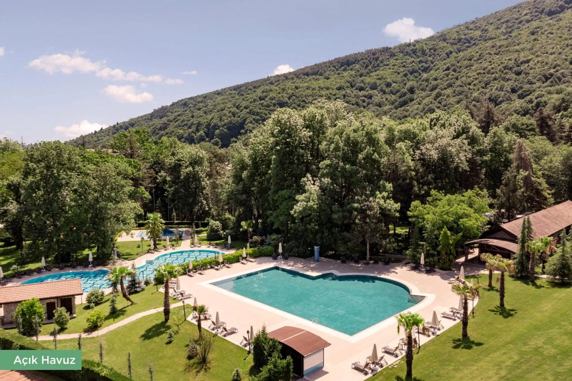 Pool View in NG Sapanca Wellness & Convention