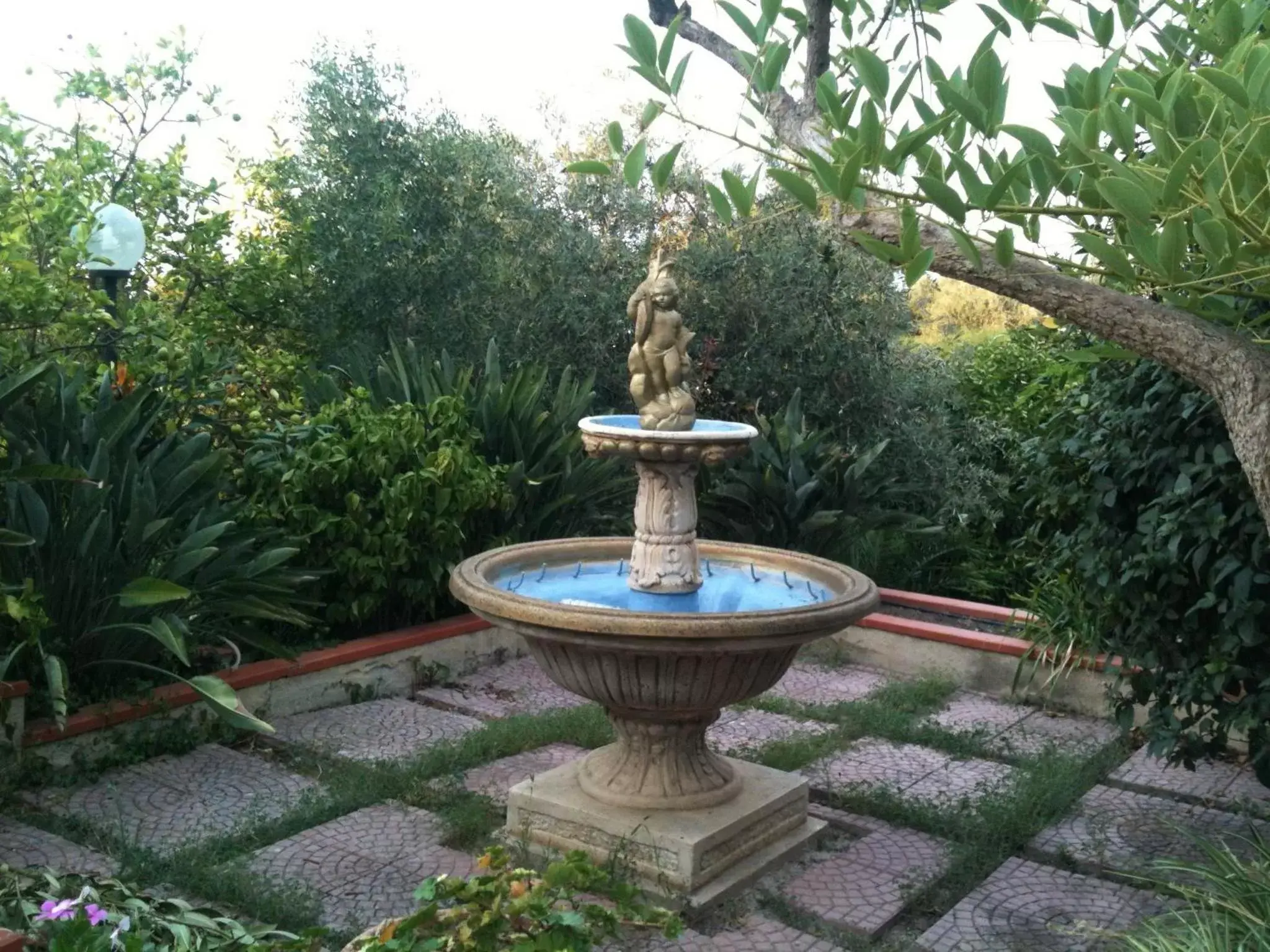 Garden, Swimming Pool in Stanza in Villa con giardino vista mare