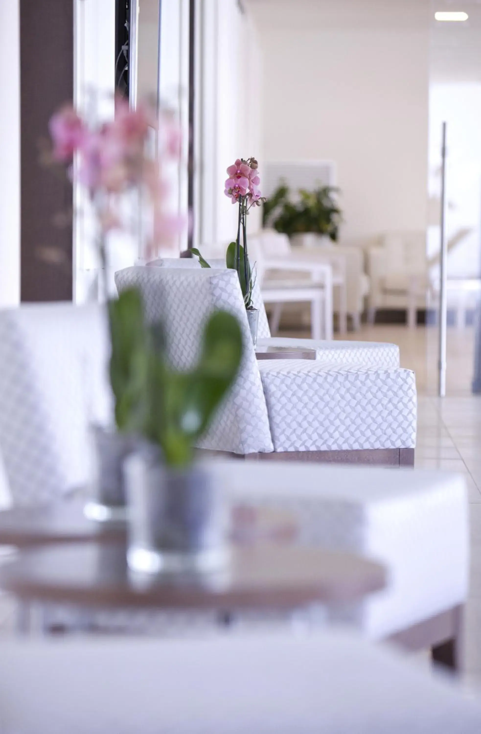 Lobby or reception, Restaurant/Places to Eat in Hotel La Pergola Mallorca