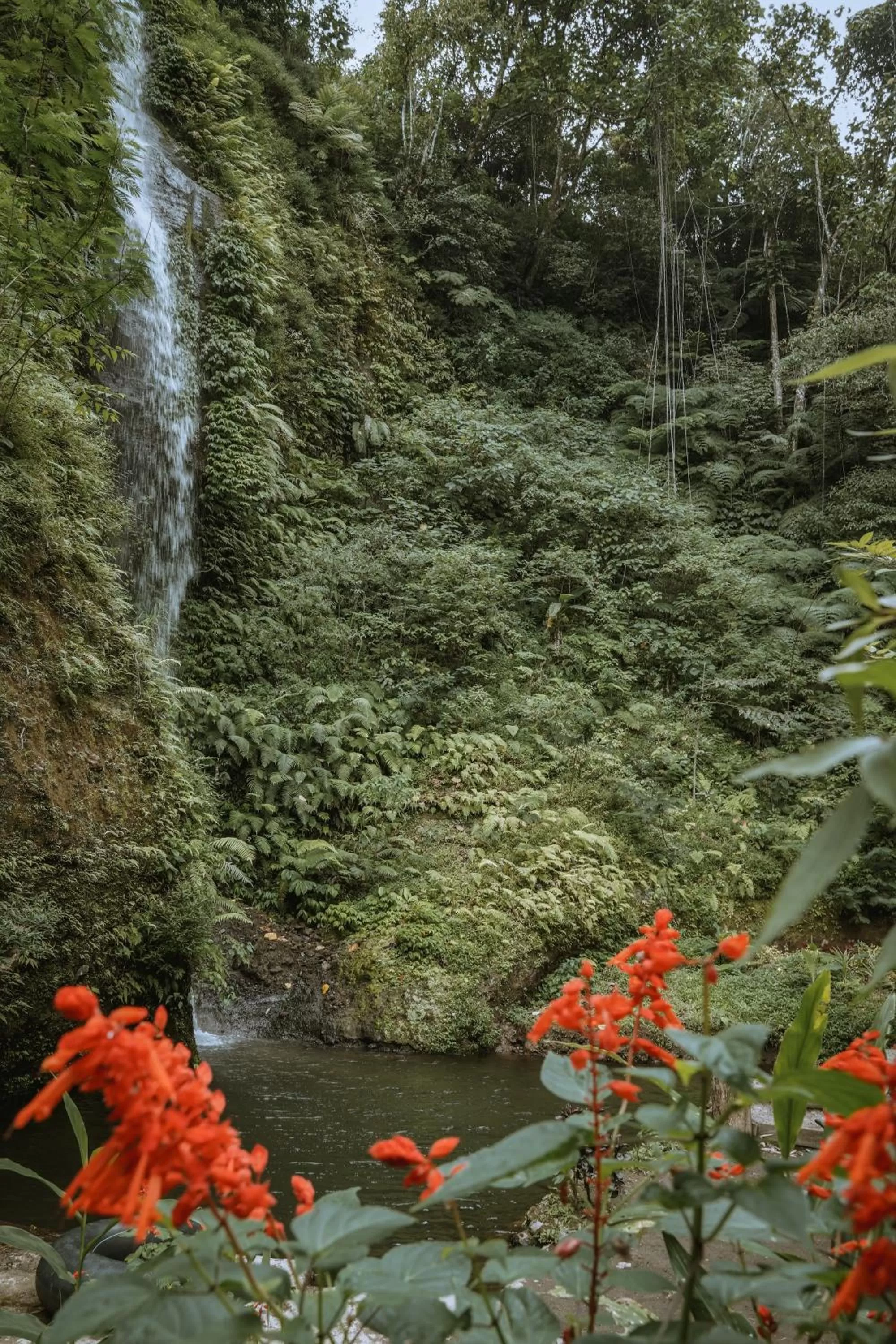 Natural landscape in Gumi Ayu EcoStay