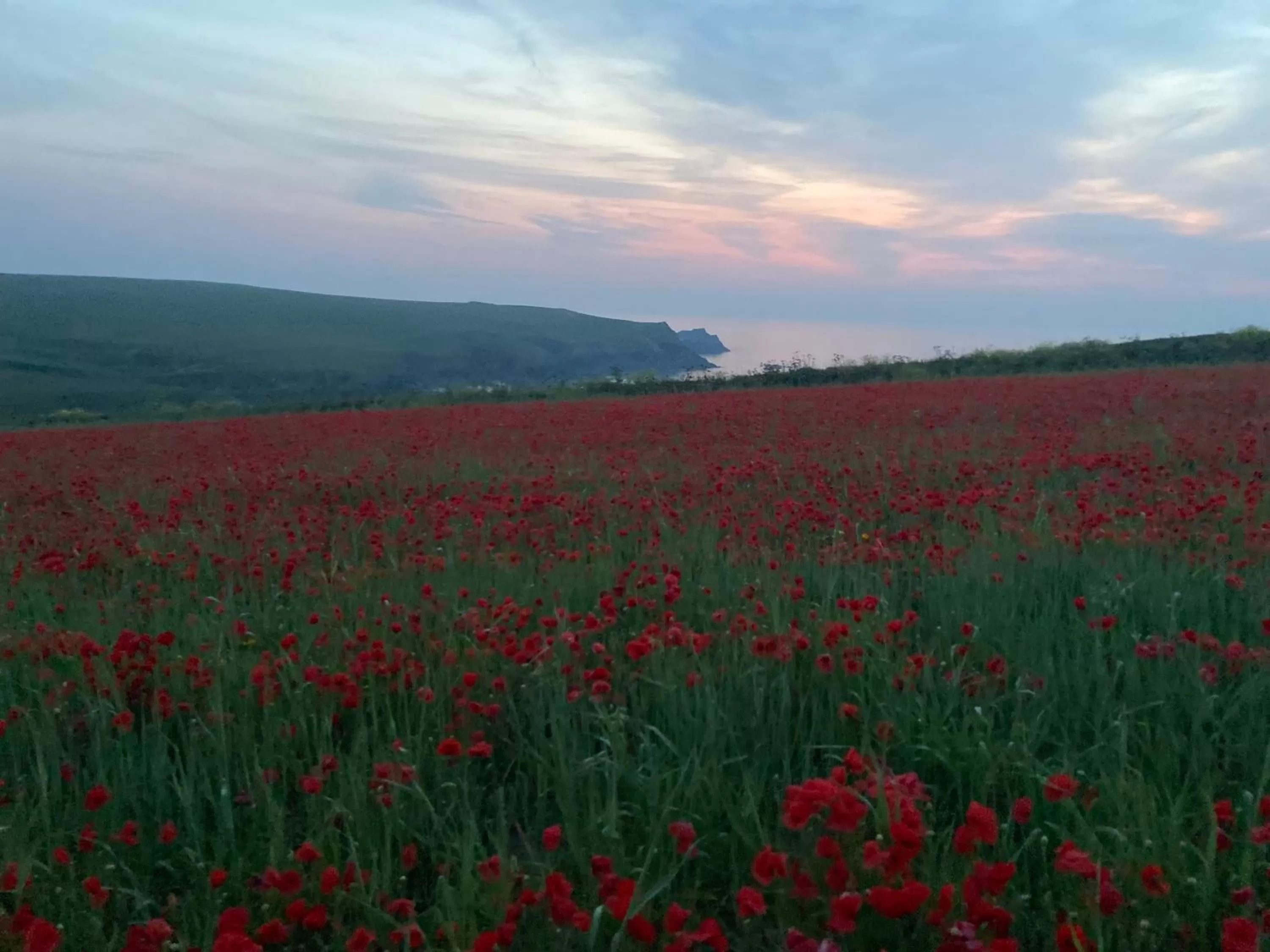 Natural landscape in Aquarius B&B