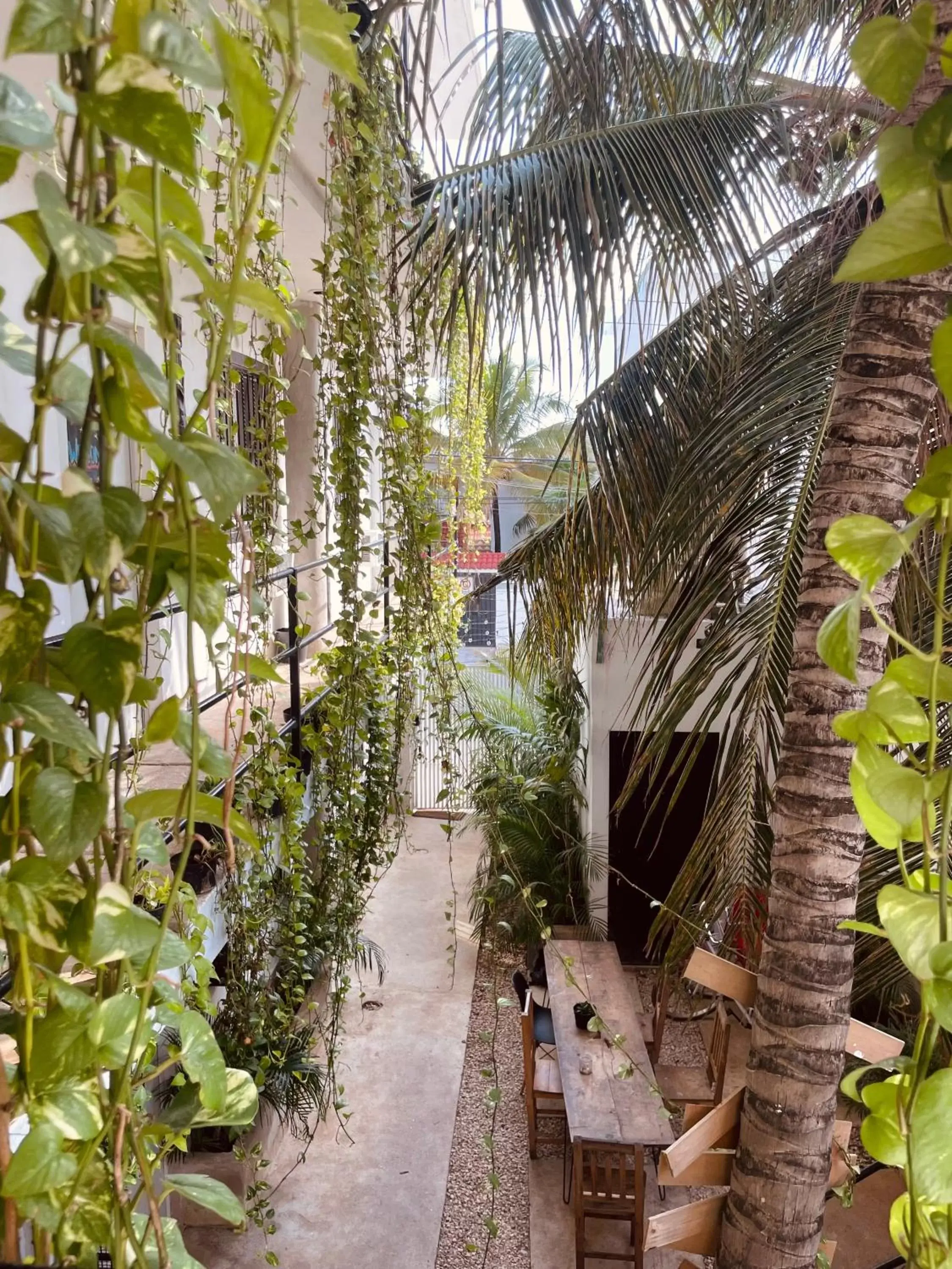 Garden in Anana Coliving