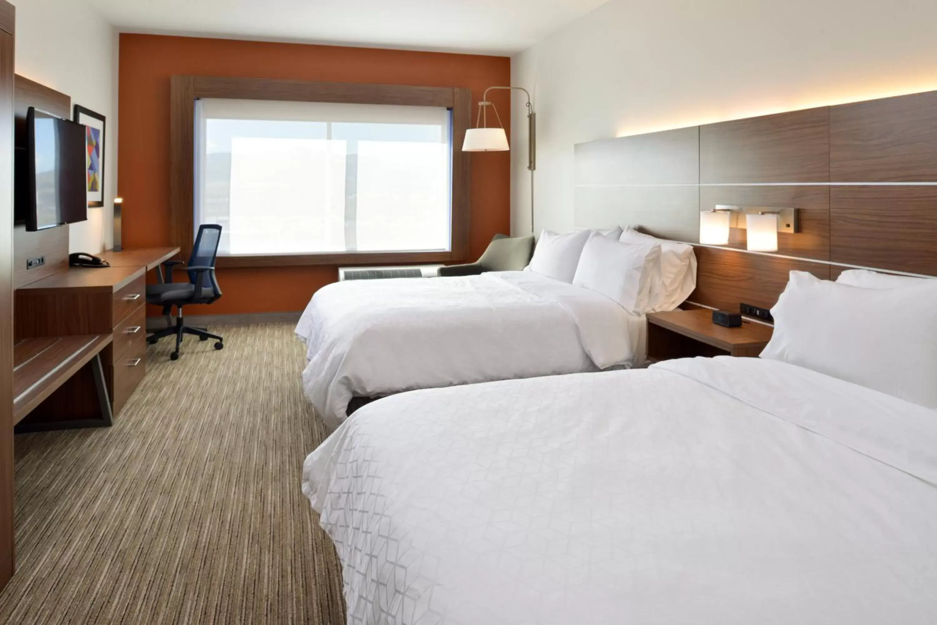 Photo of the whole room in Holiday Inn Express & Suites - Elko, an IHG Hotel