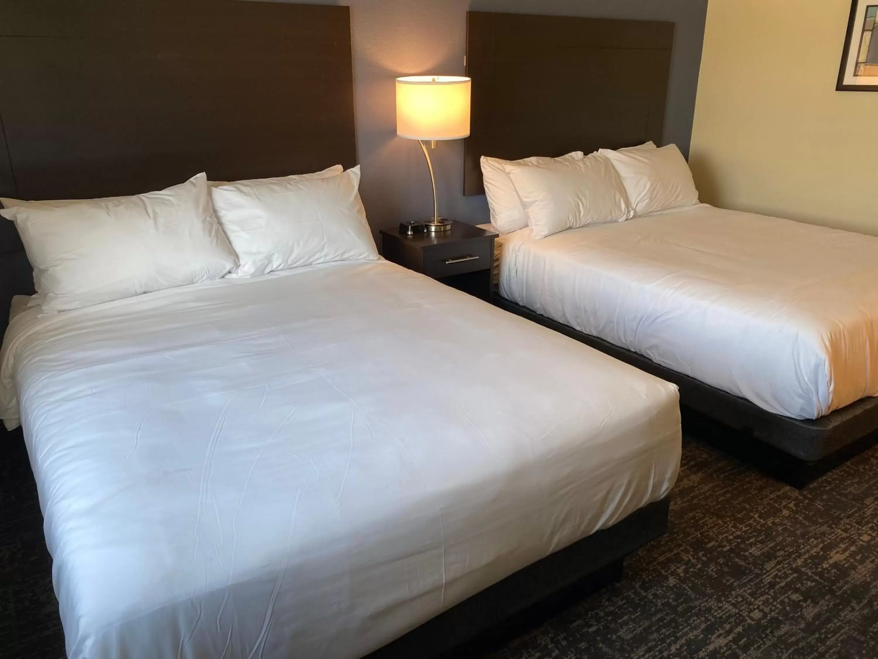 Bed in Cobblestone Inn & Suites - Forest City