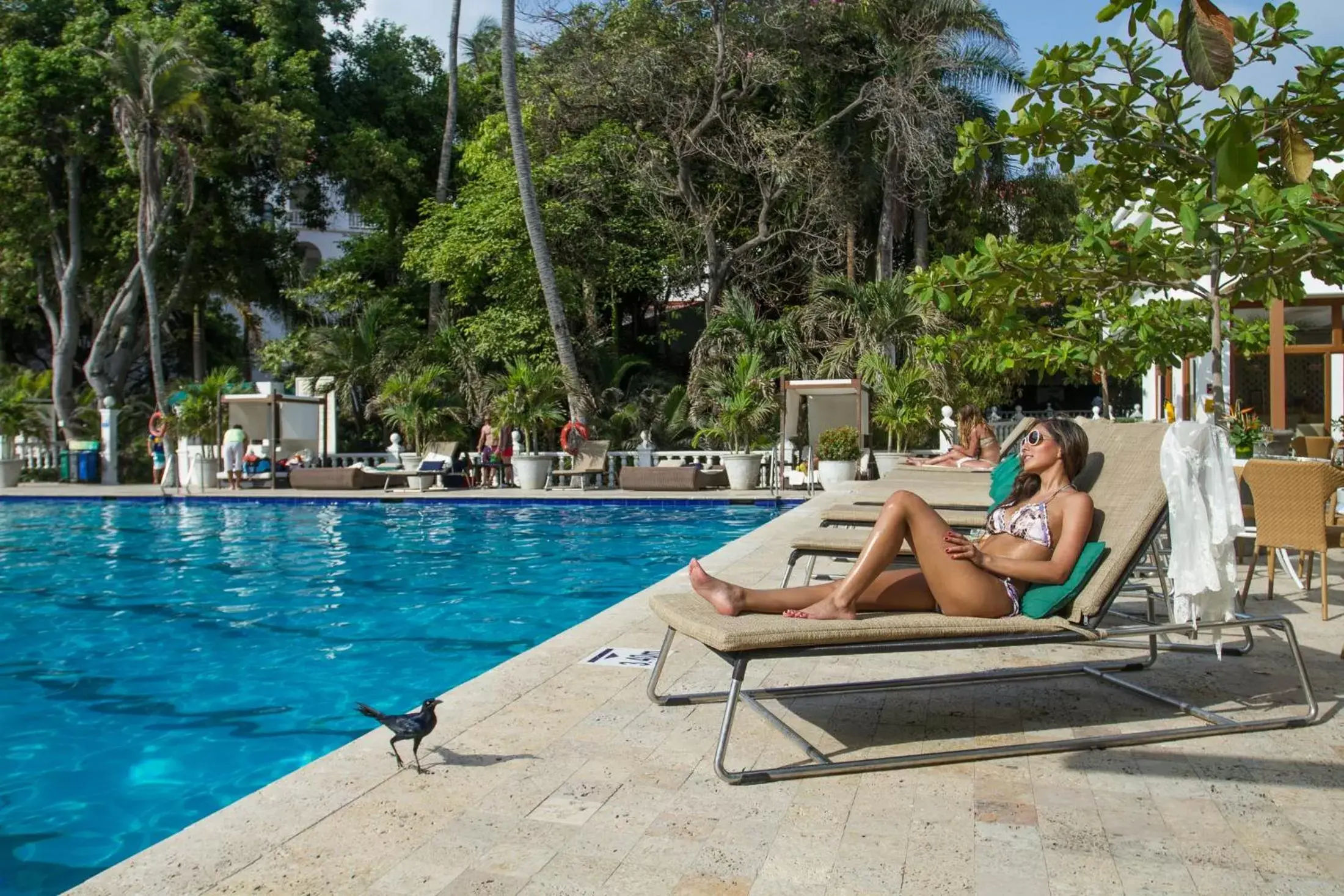 Swimming Pool in Hotel Caribe by Faranda Grand, a member of Radisson Individuals