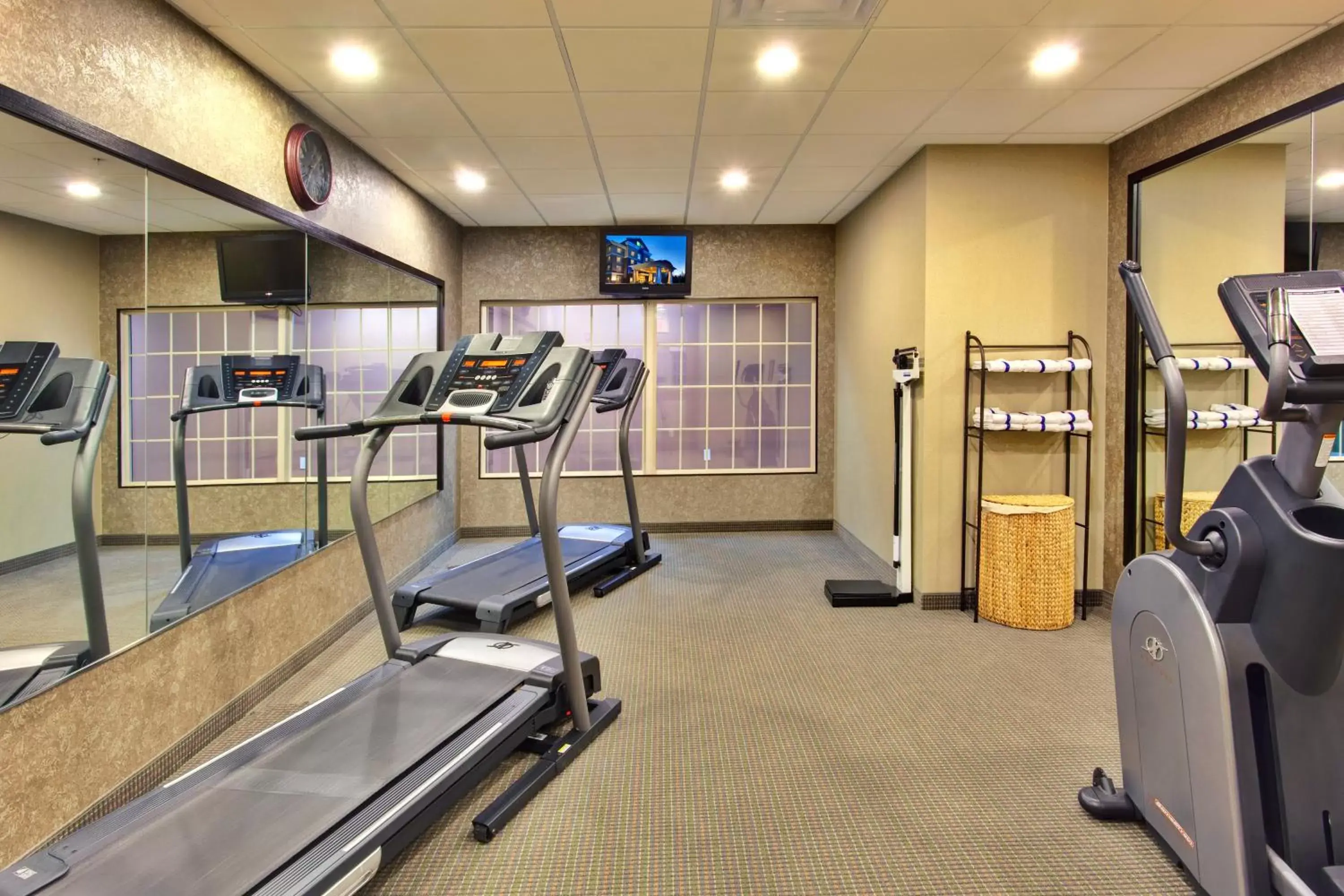 Spa and wellness centre/facilities, Fitness Center/Facilities in Holiday Inn Express Hotel & Suites Hamburg, an IHG Hotel