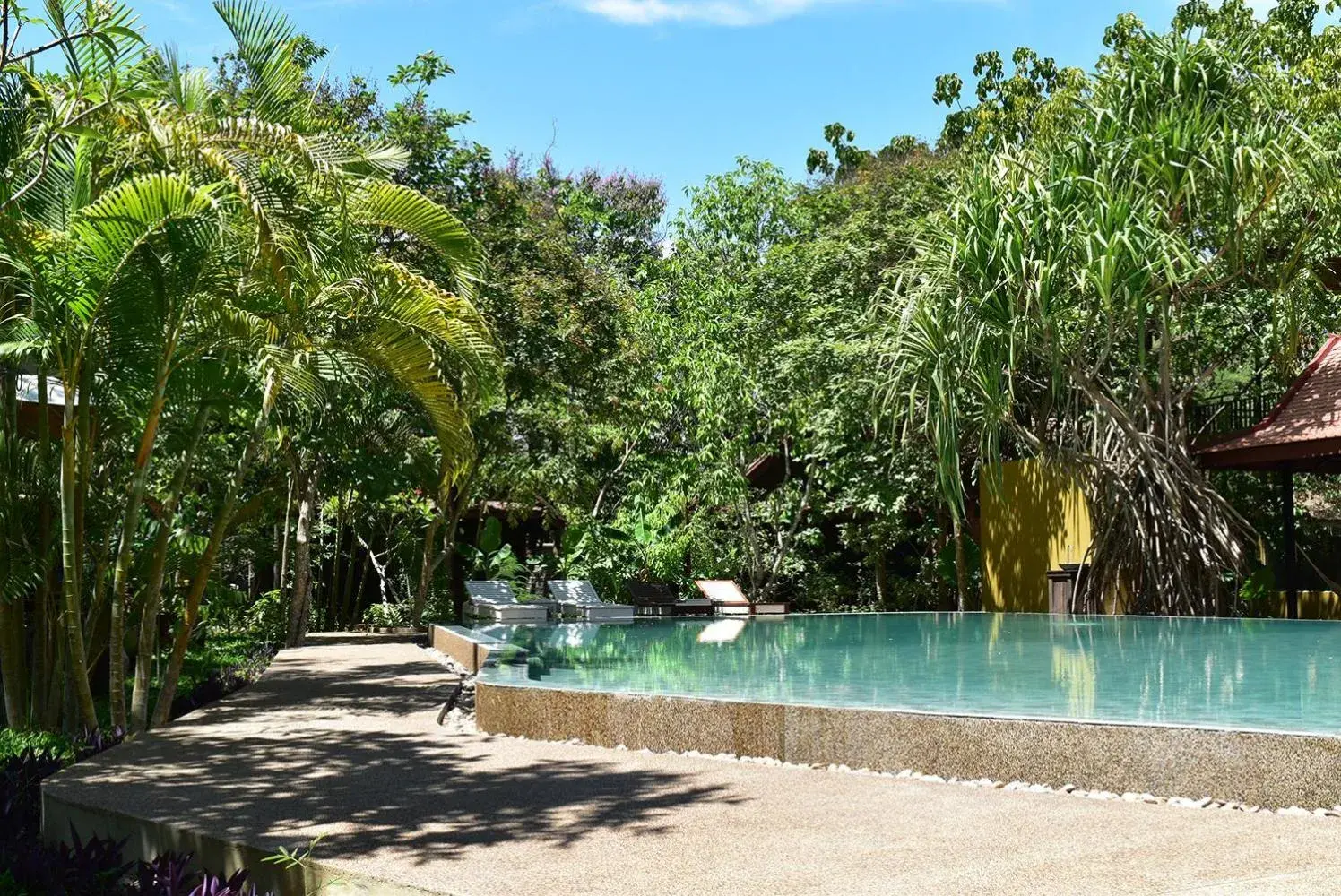 Swimming Pool in Palm Village Resort & Spa