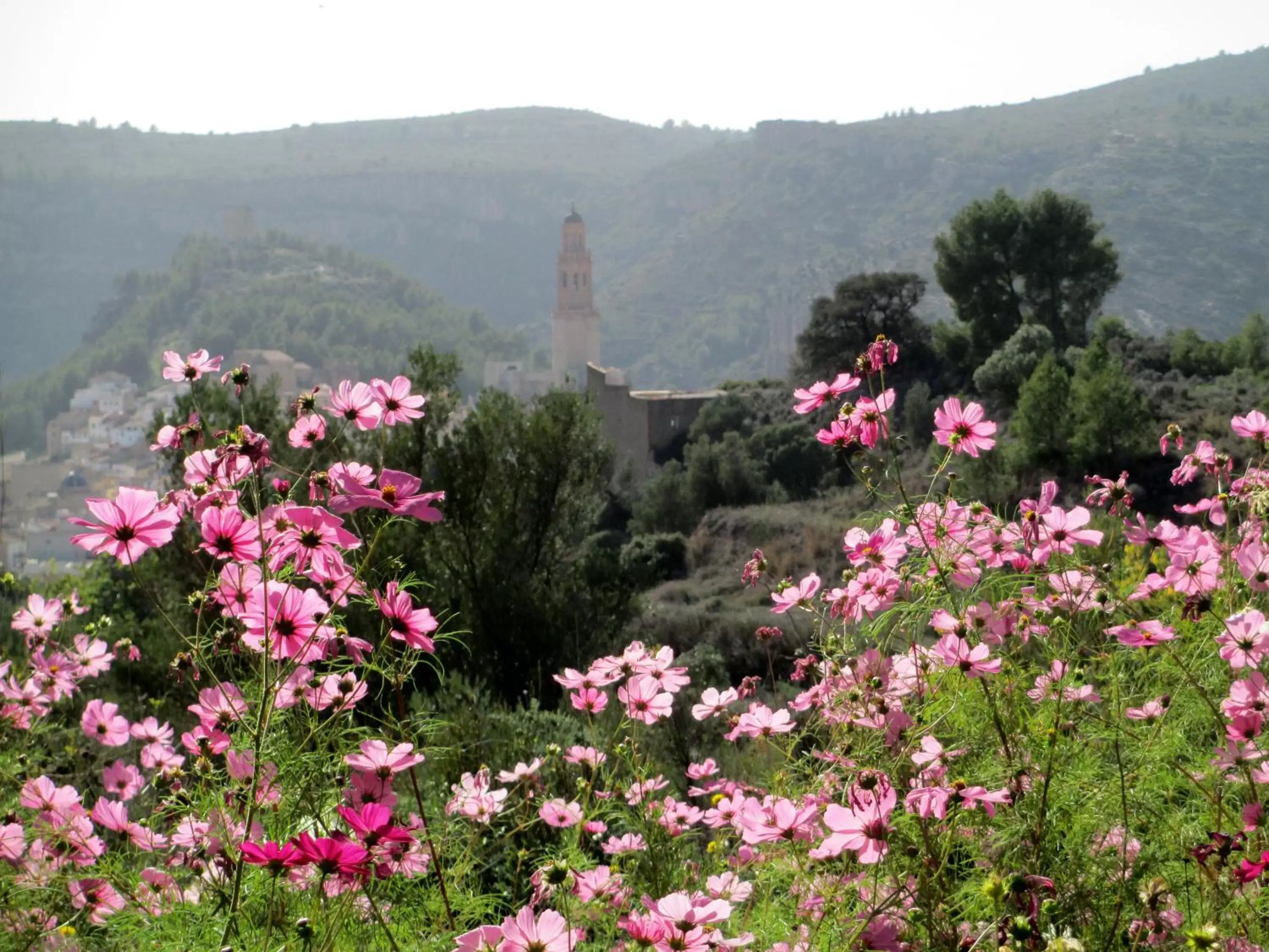 City view, Mountain View in Sharíqua