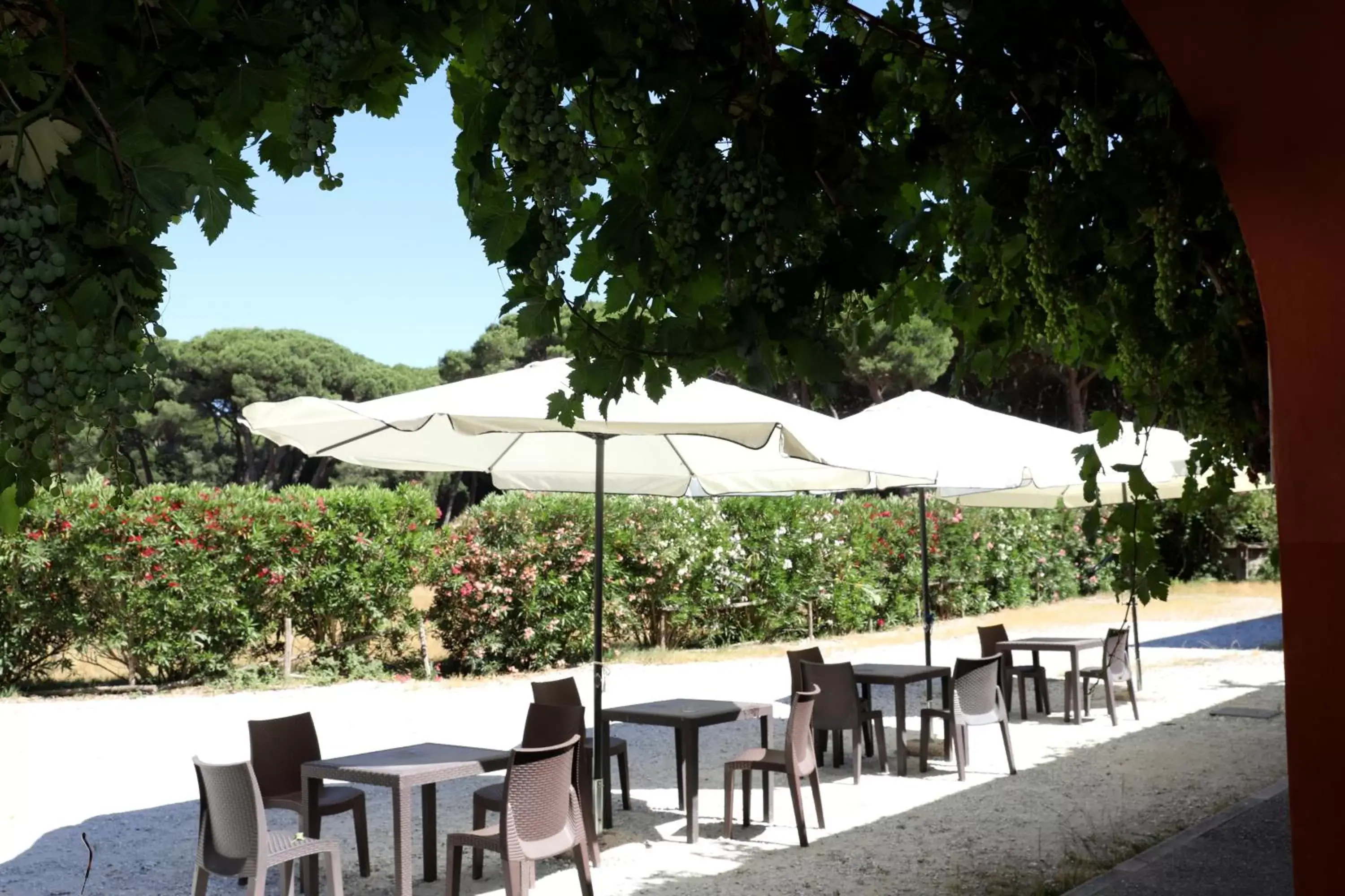 Restaurant/Places to Eat in Casale La Sterpaia