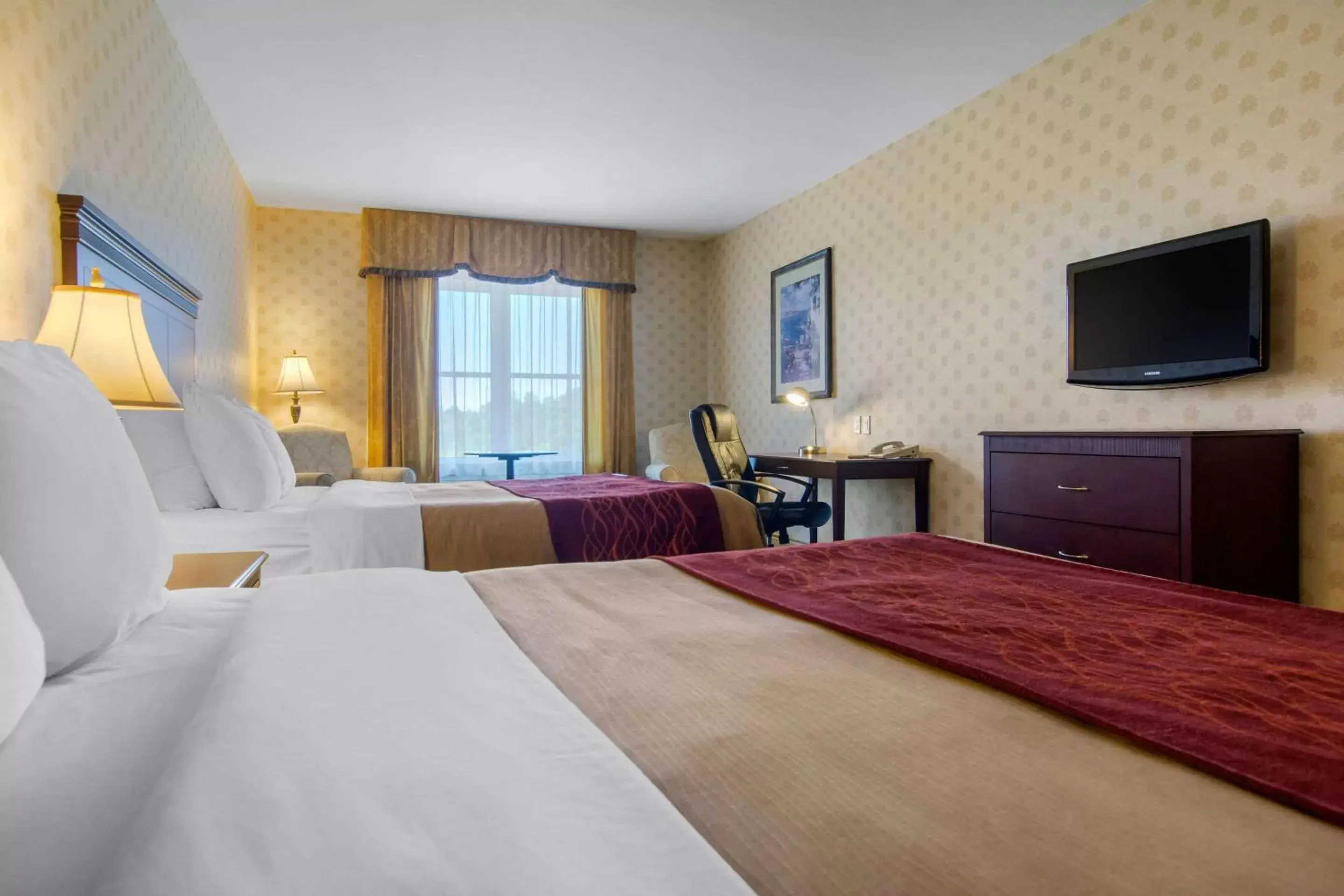 Photo of the whole room, Bed in Comfort Inn & Suites Levis / Rive Sud Quebec city