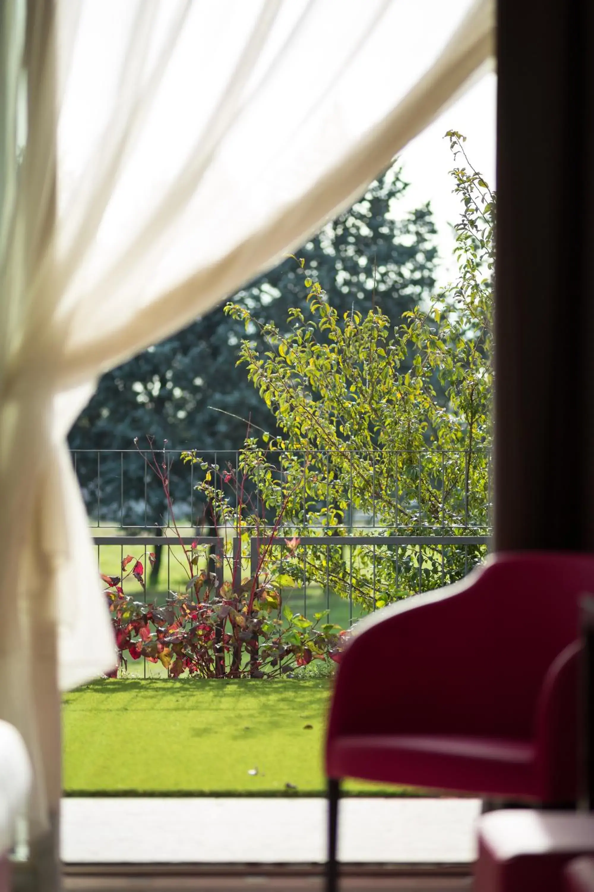 Garden view in Hotel Brandoli