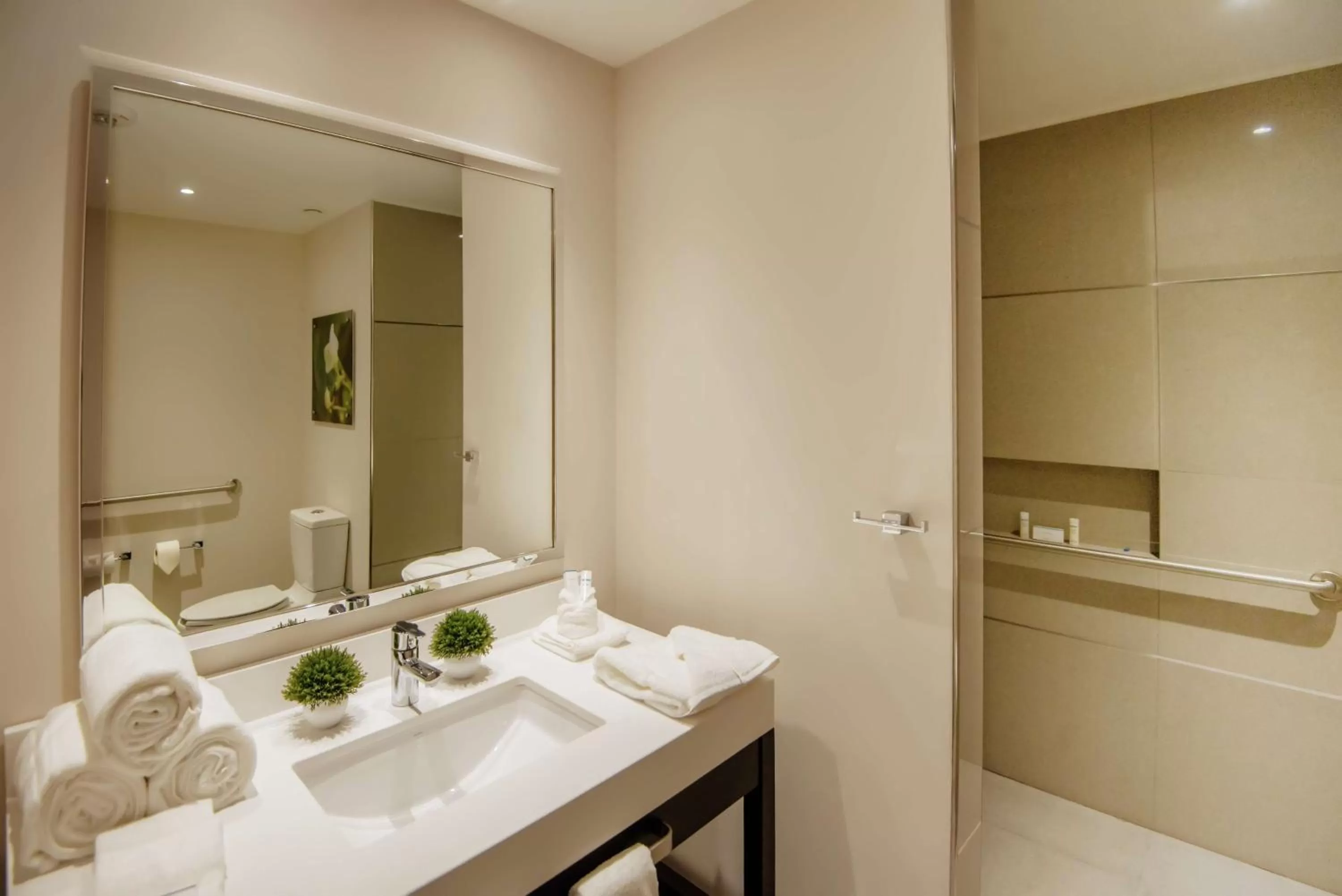 Bathroom in Hilton Garden Inn Puebla Angelopolis