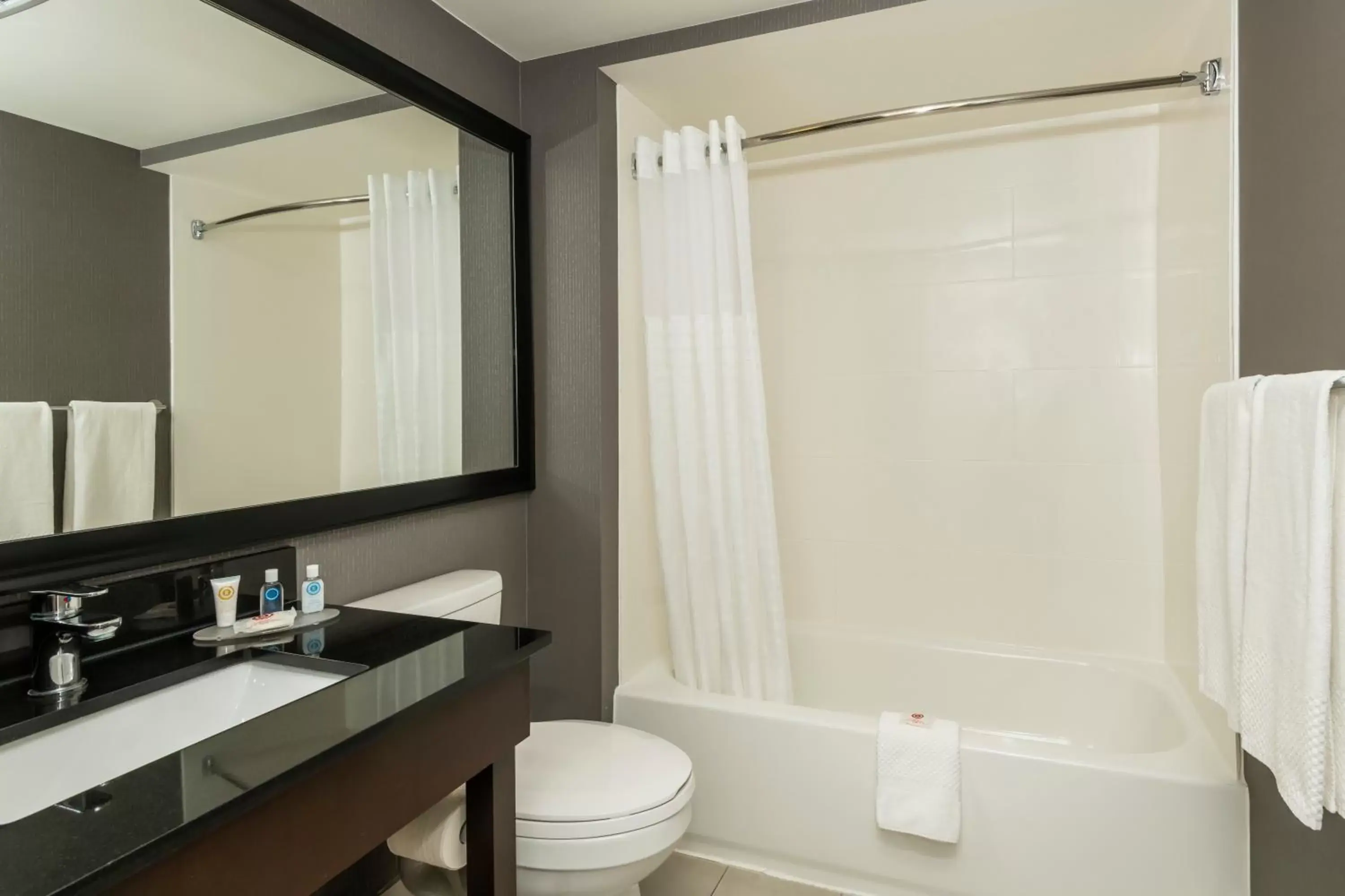 Shower, Bathroom in Comfort Inn Ottawa West- Kanata