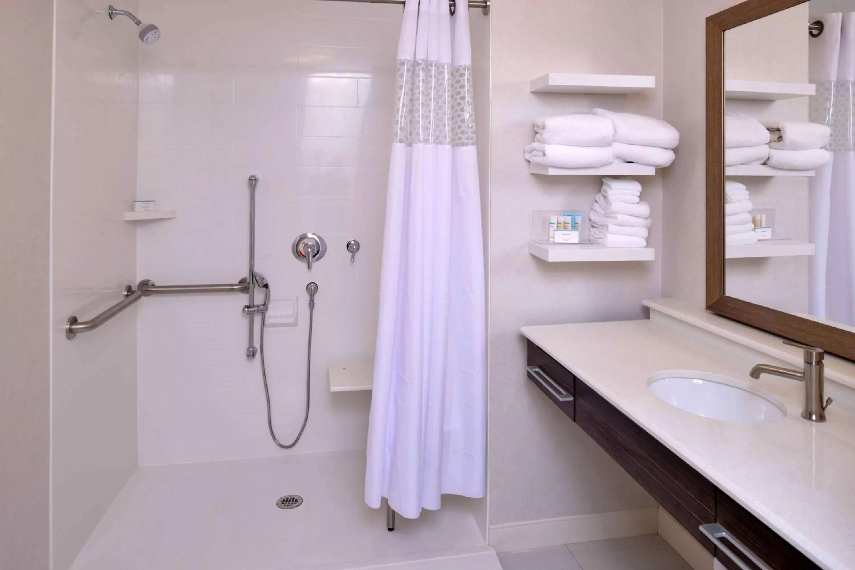 Bathroom in Hampton Inn & Suites Albany-East Greenbush, NY