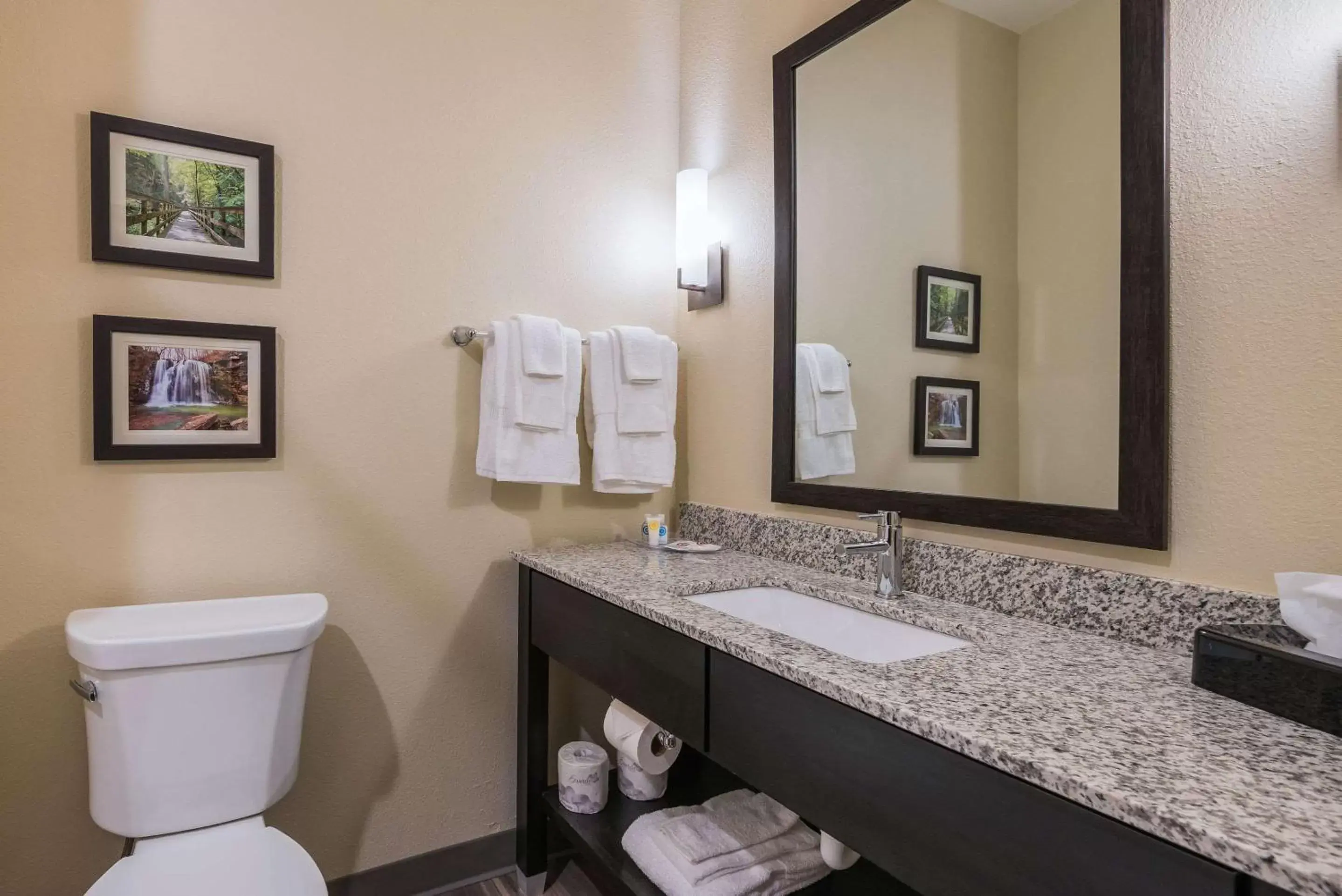Bathroom in Comfort Suites Marysville Columbus - Northwest