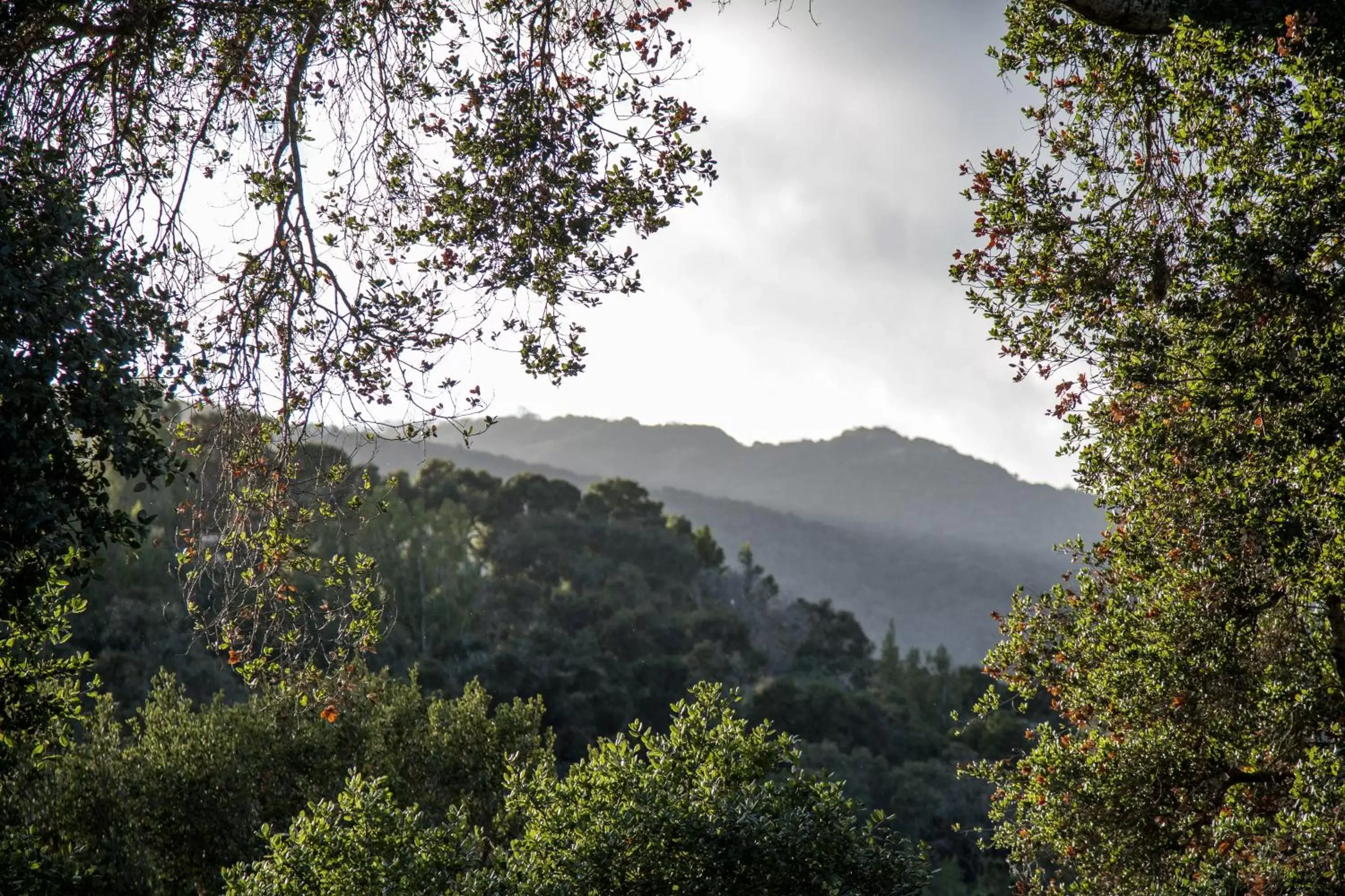 Natural landscape, Mountain View in Hidden Valley Inn