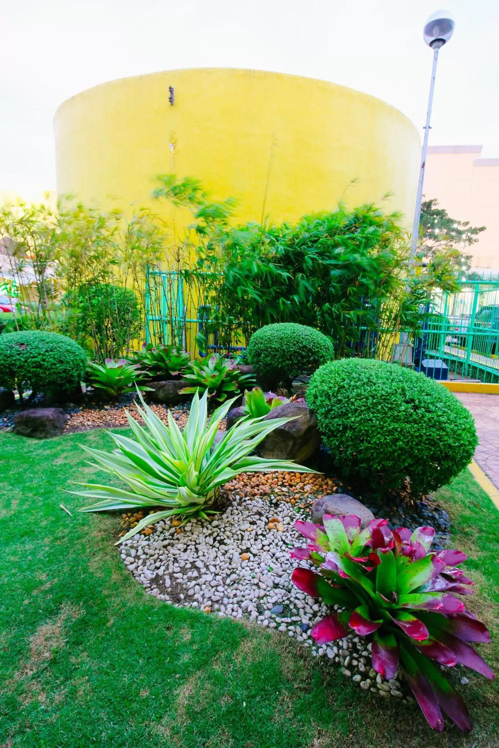Garden in Go Hotels Bacolod
