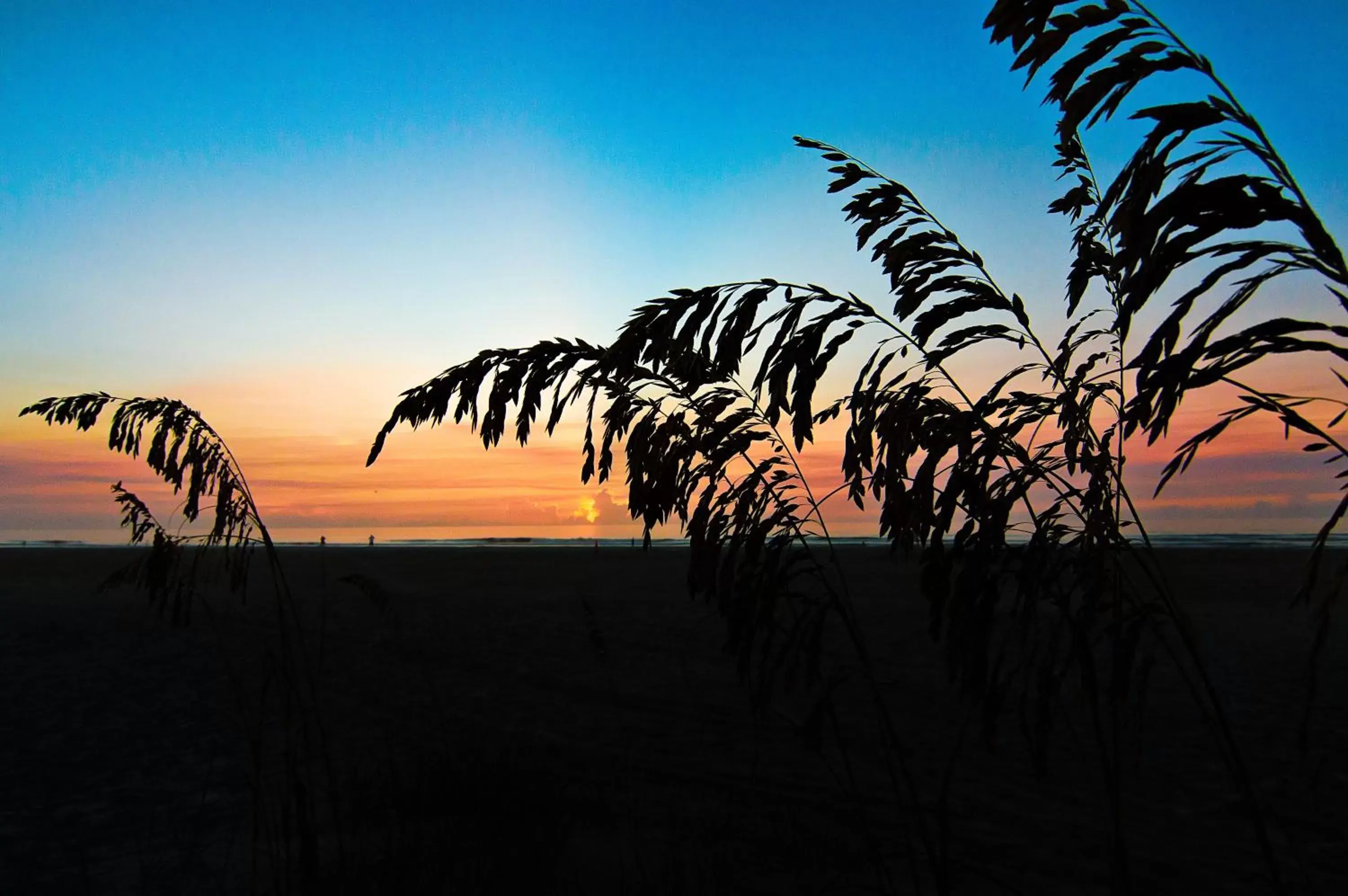 Sea view, Sunrise/Sunset in Guy Harvey Resort on Saint Augustine Beach