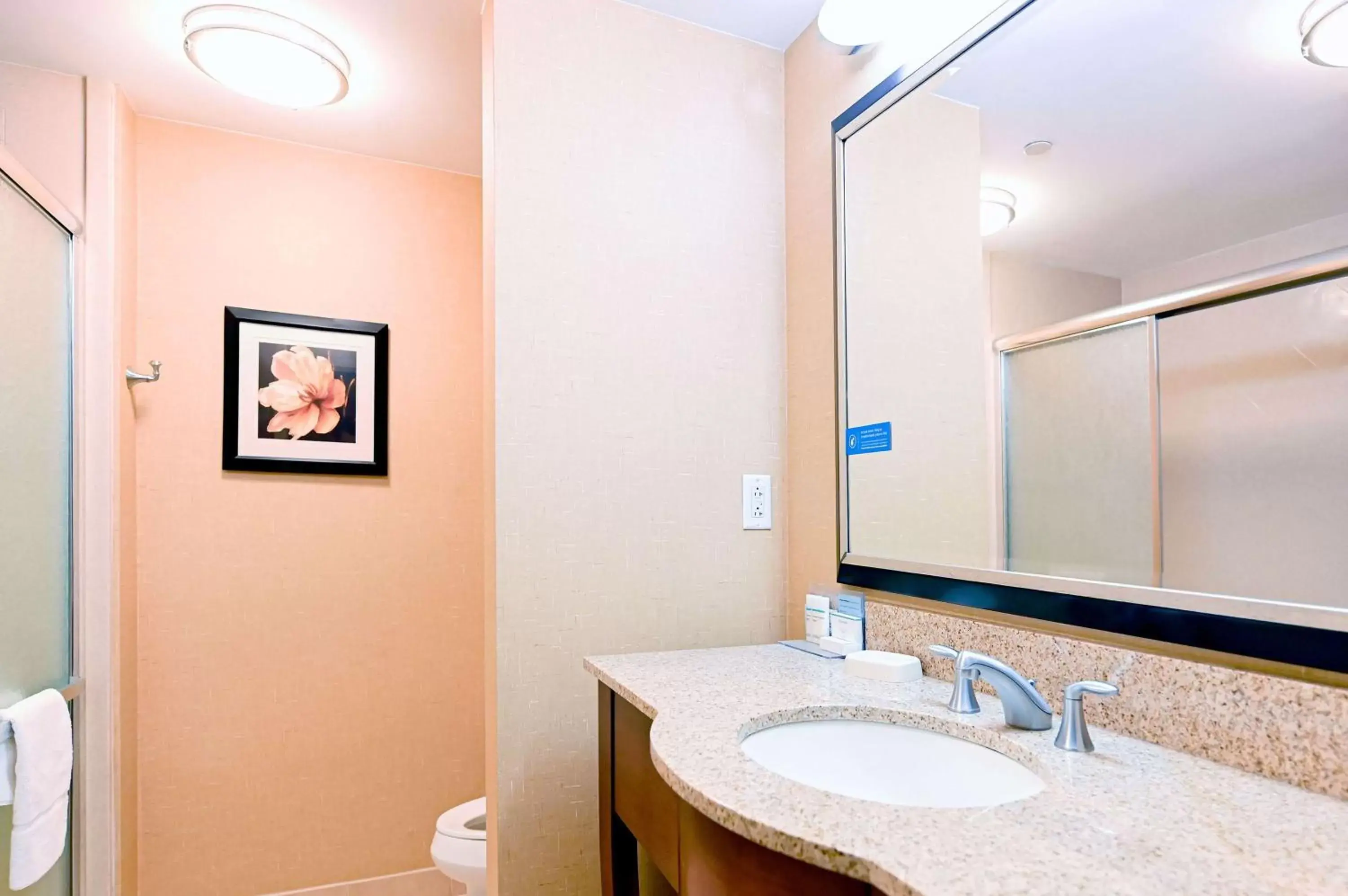 Bathroom in Hampton Inn & Suites Smithfield