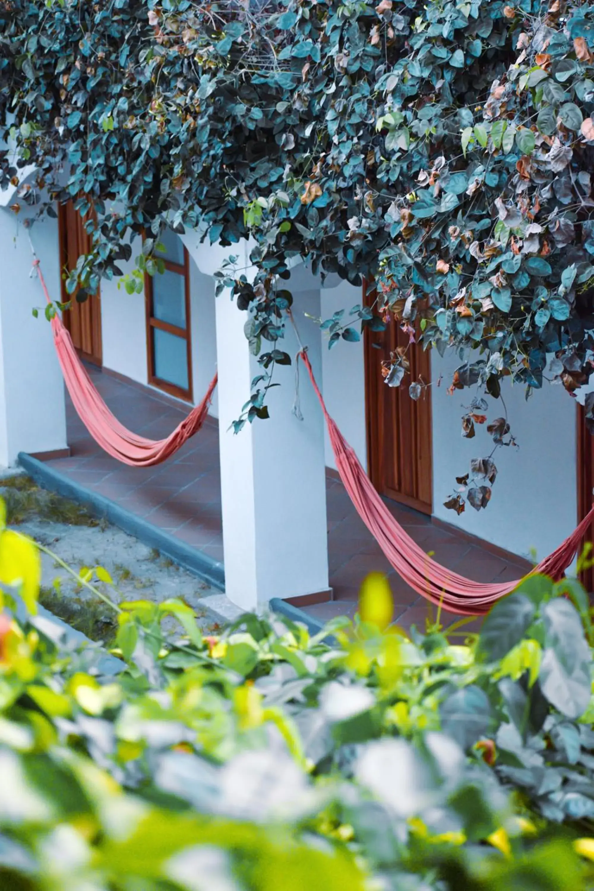 Garden in Hotel Sansiraka