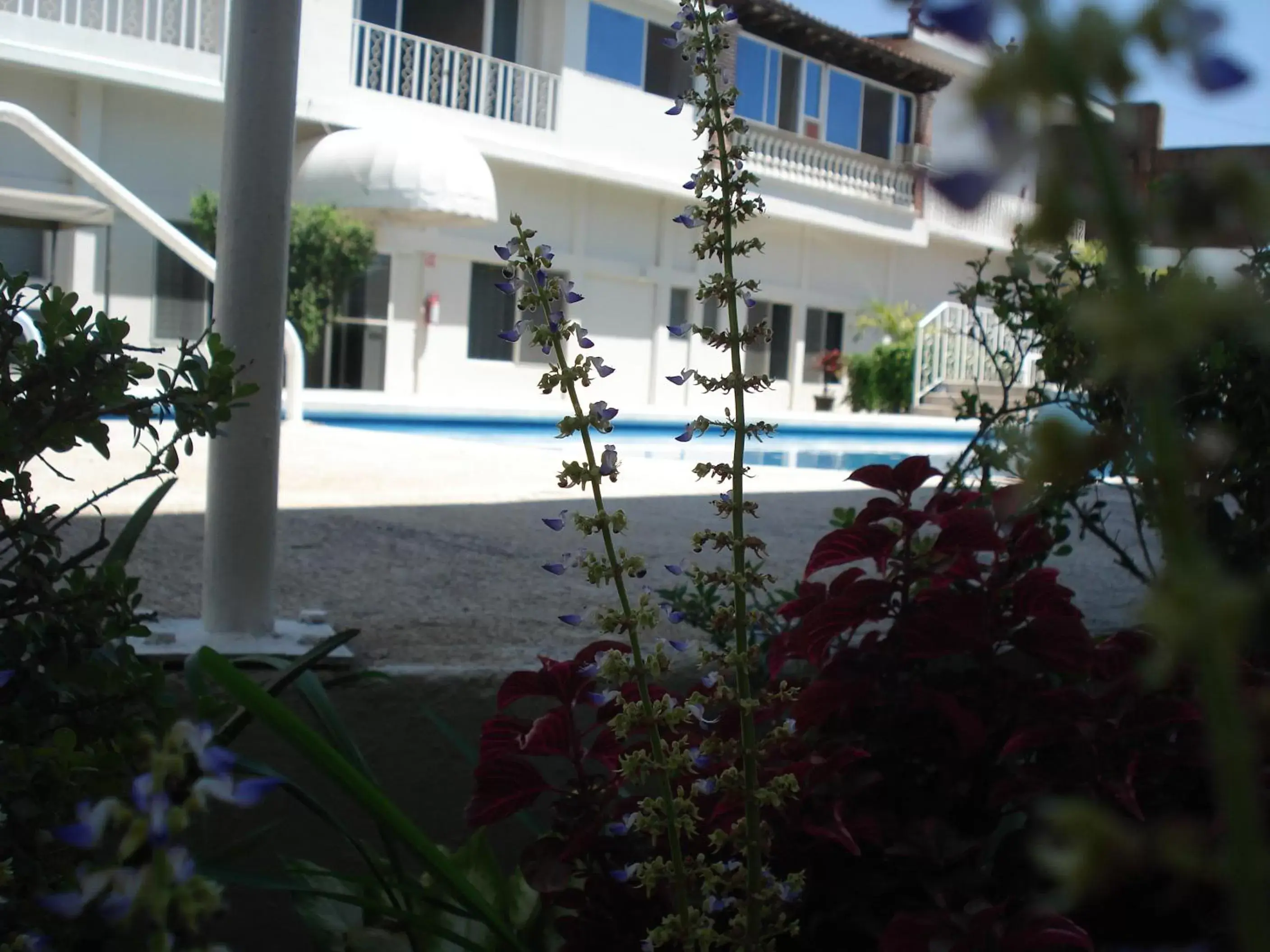 Garden, Swimming Pool in AOHOM SANTUARIO HOTEL & SPA