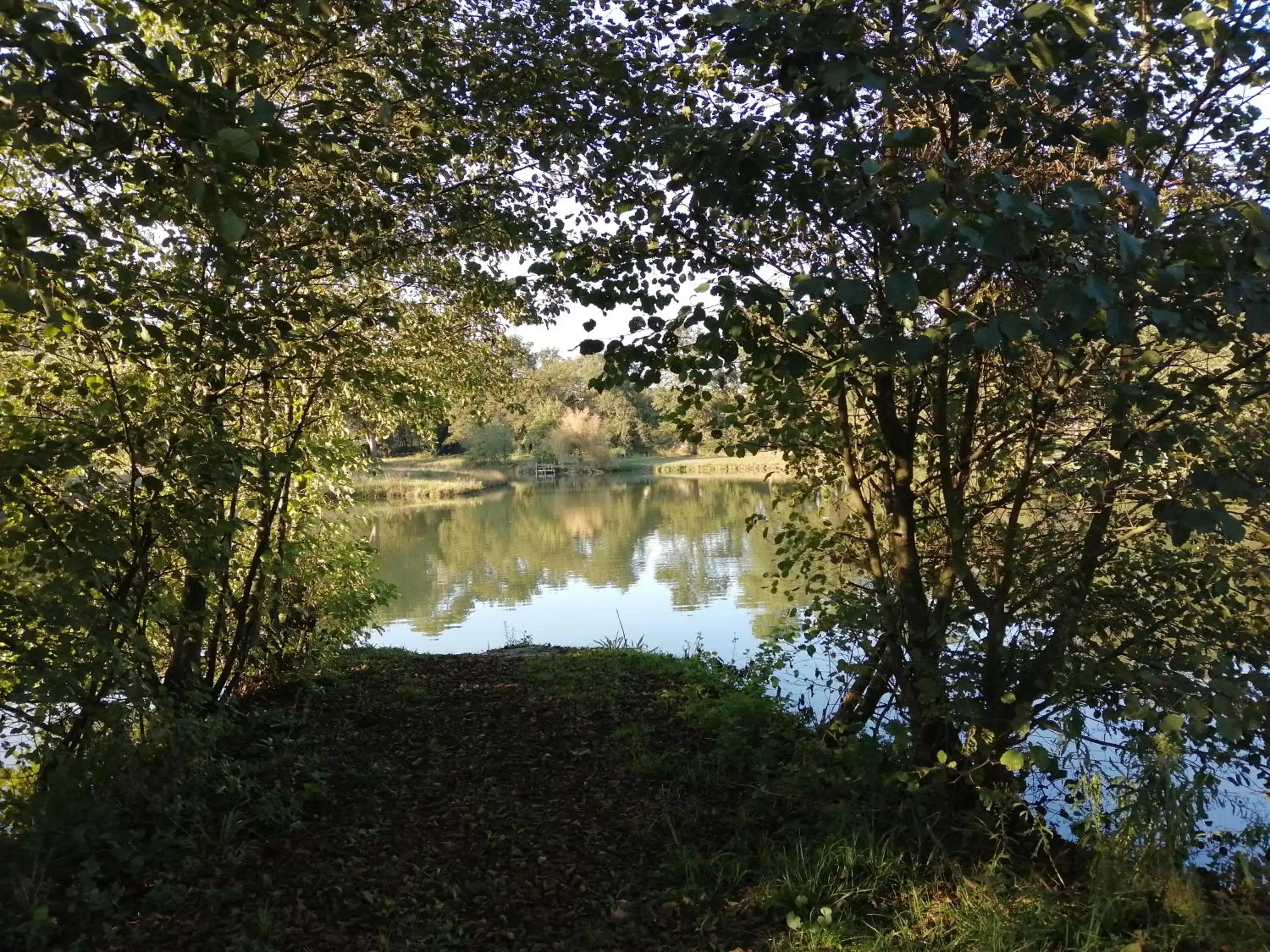 Fishing in L'hacienda