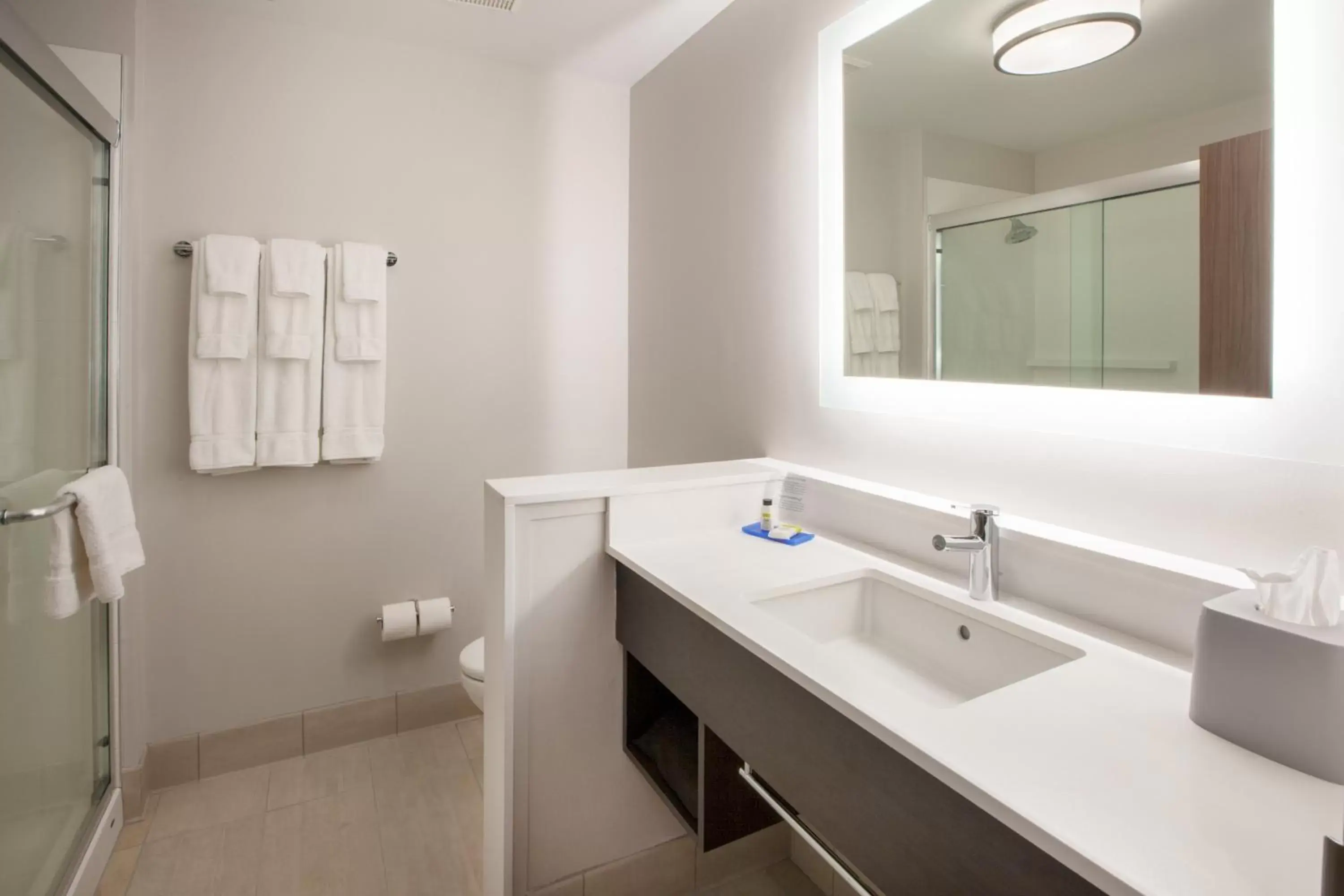 Bathroom in Holiday Inn Express & Suites - Milan - Sandusky Area, an IHG Hotel