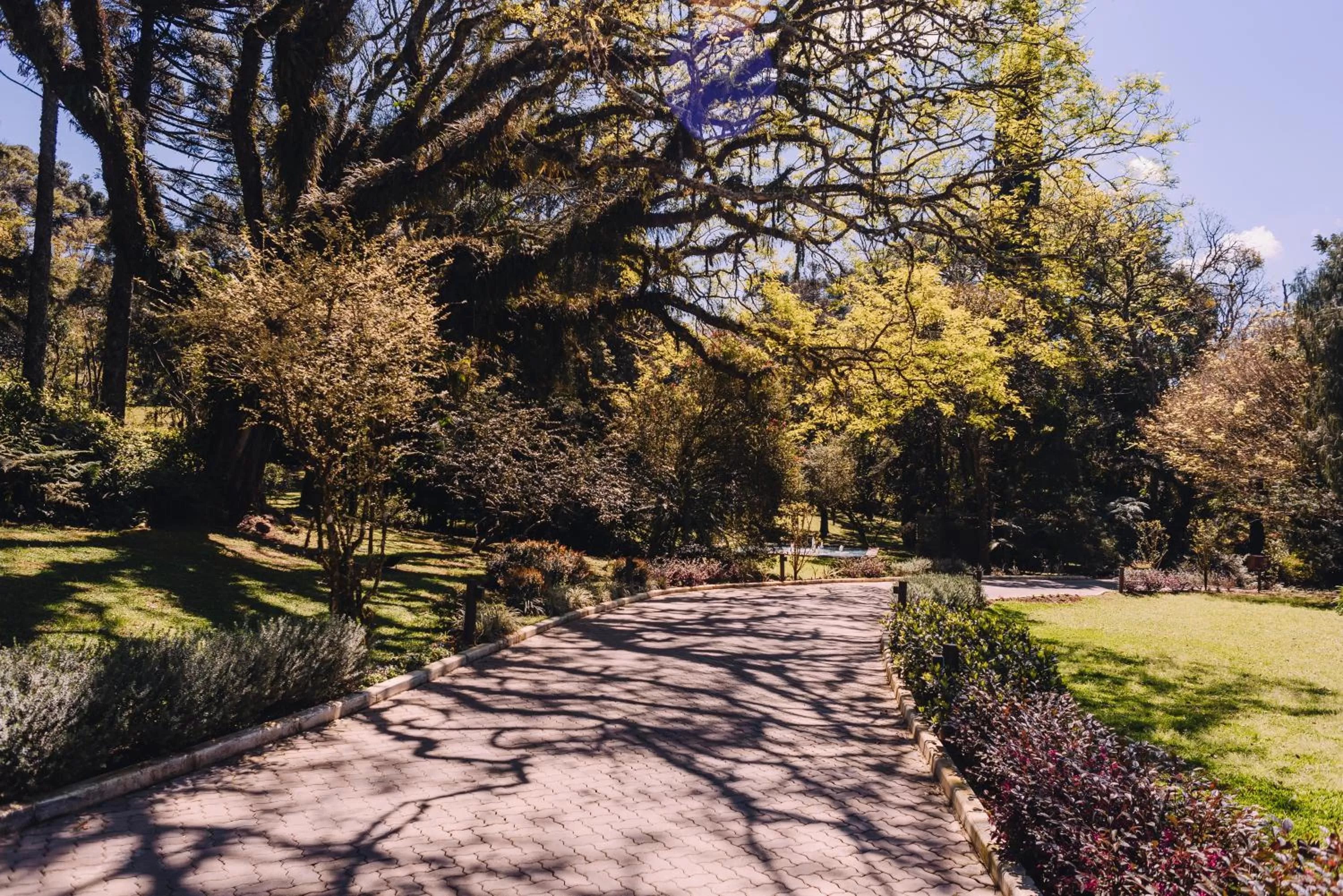 Natural landscape in Hotel Jardins da Colina