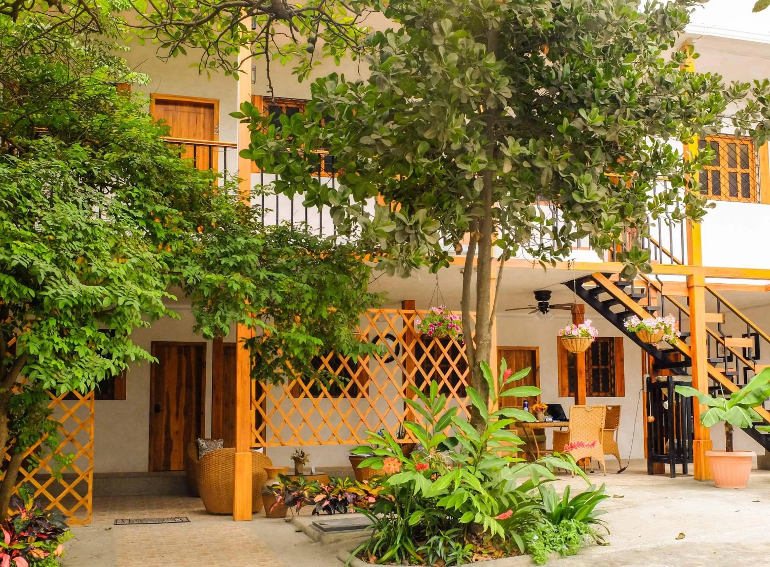 Patio in Hotel Boutique Platanal