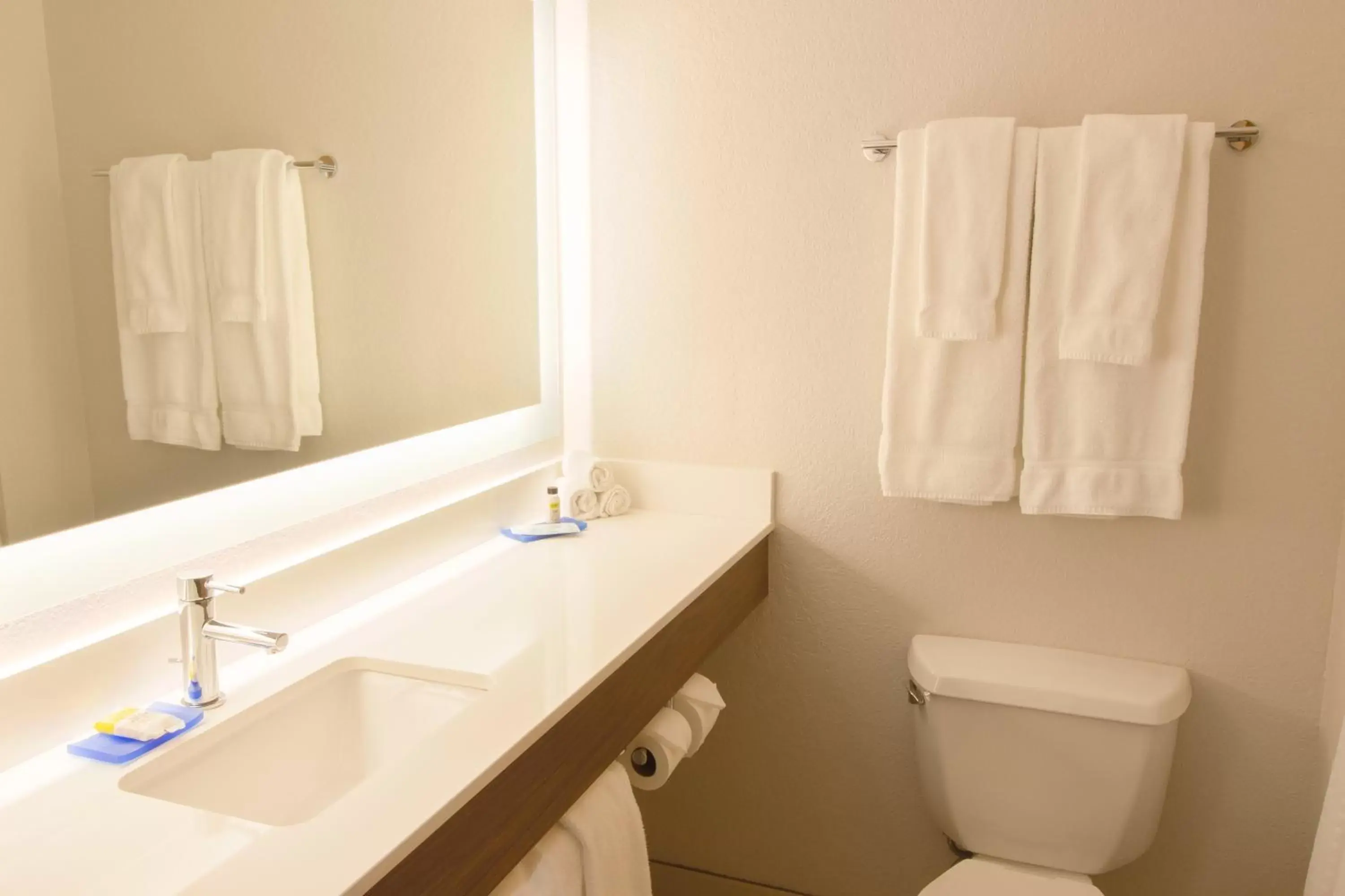 Bathroom in Holiday Inn Express & Suites - Worthington, an IHG Hotel