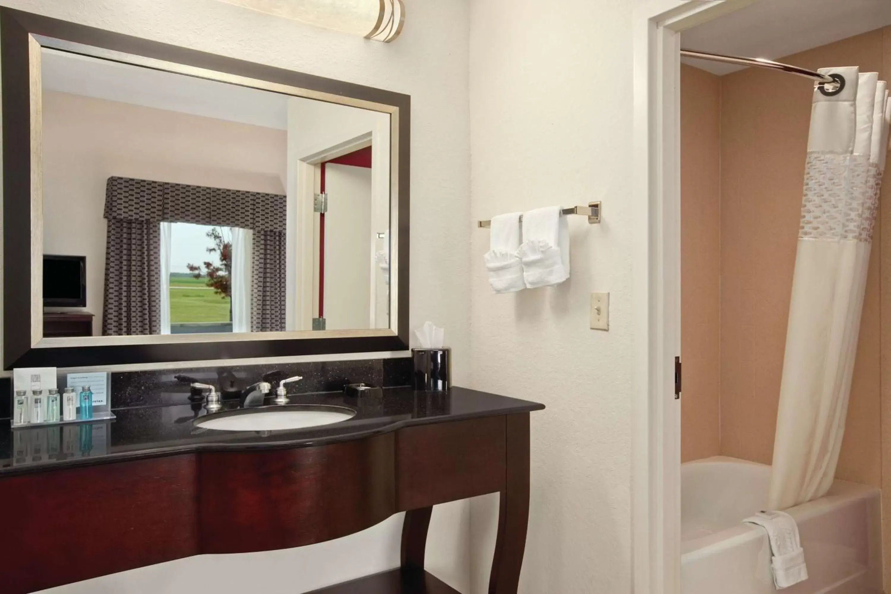 Bed, Bathroom in Hampton Inn & Suites Millington