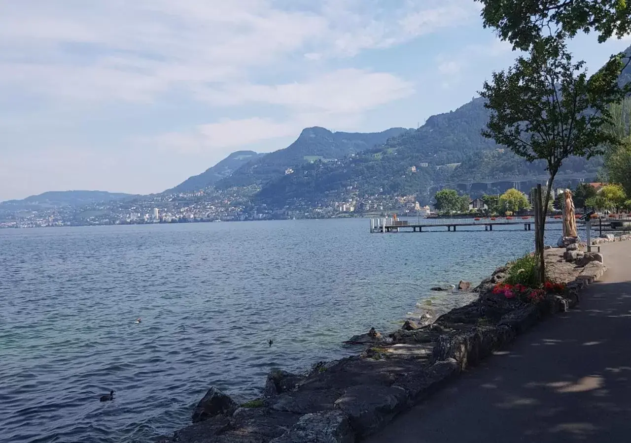 Natural landscape in Hotel Du Quai