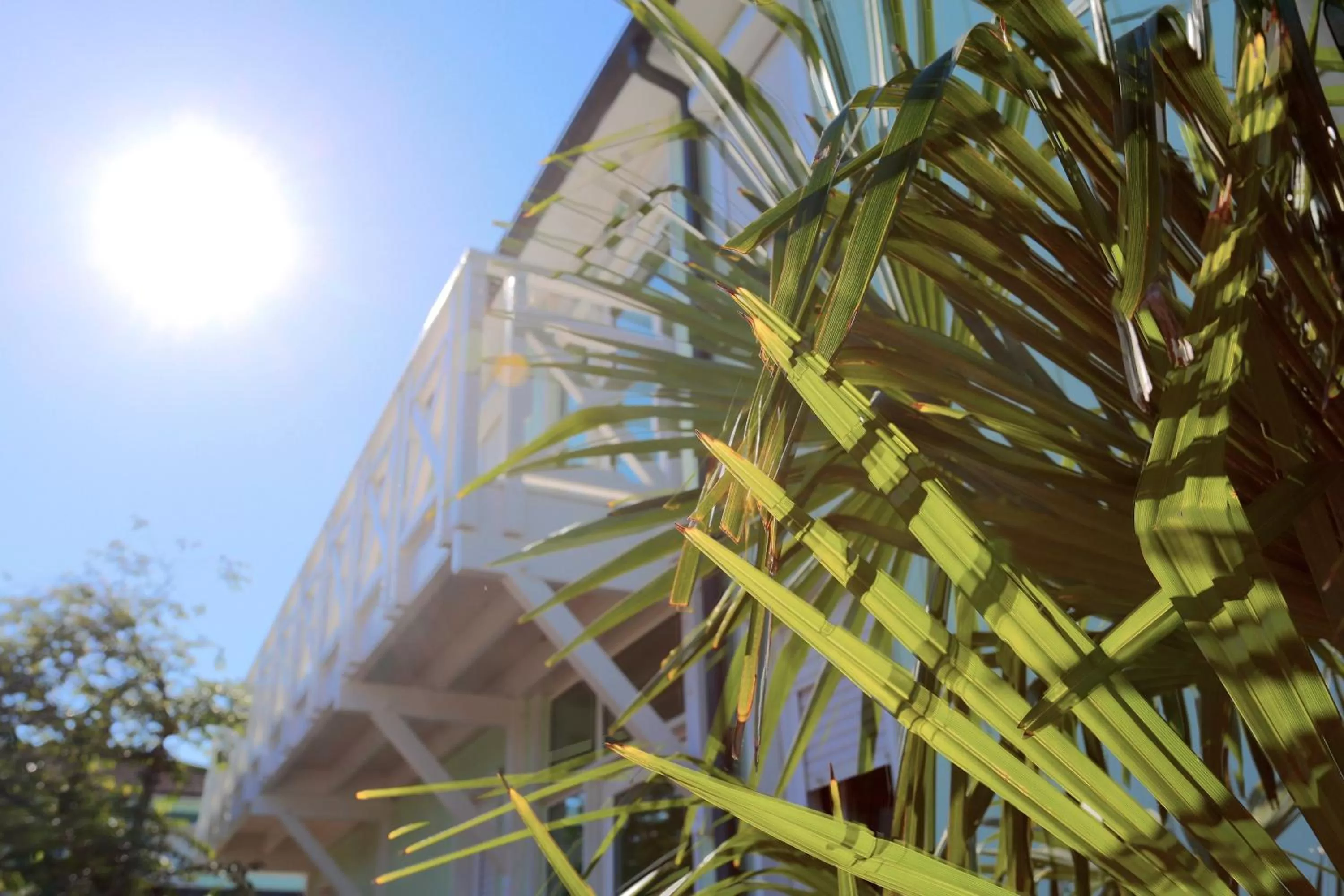 Facade/entrance in Fasthotel Artigues