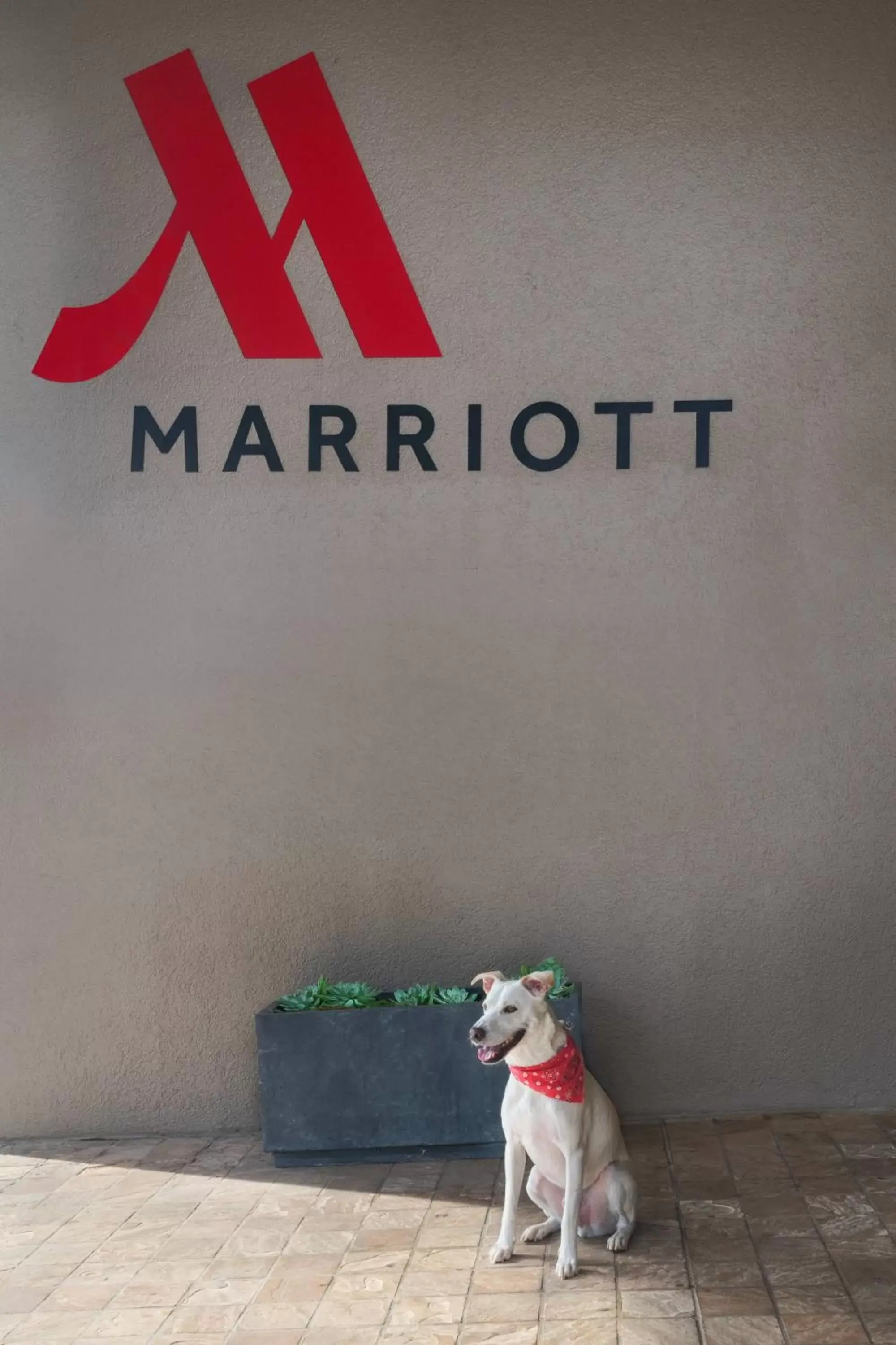 Property building, Pets in Marriott Dallas/Fort Worth Westlake
