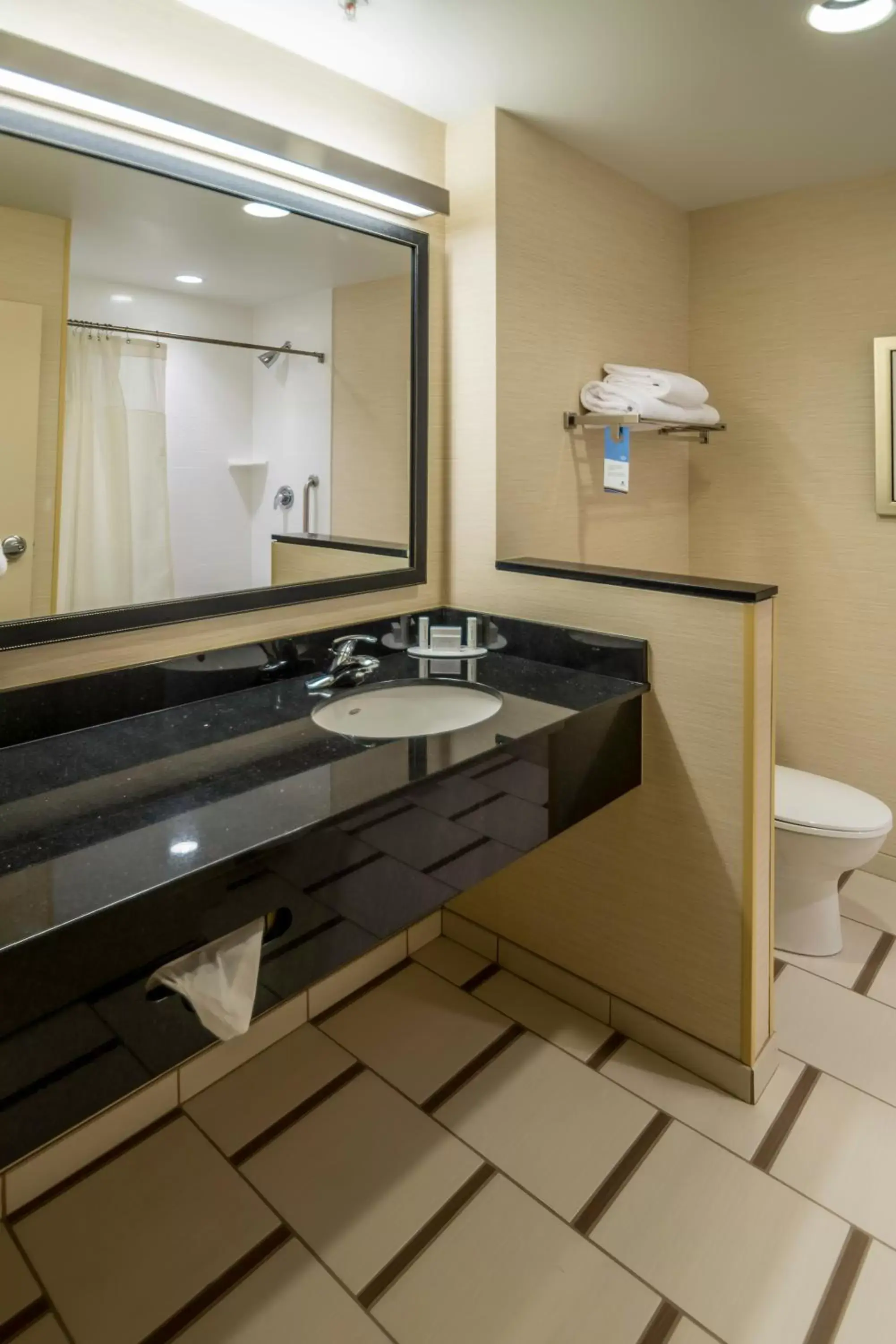 Bathroom in Fairfield Inn & Suites by Marriott Twin Falls