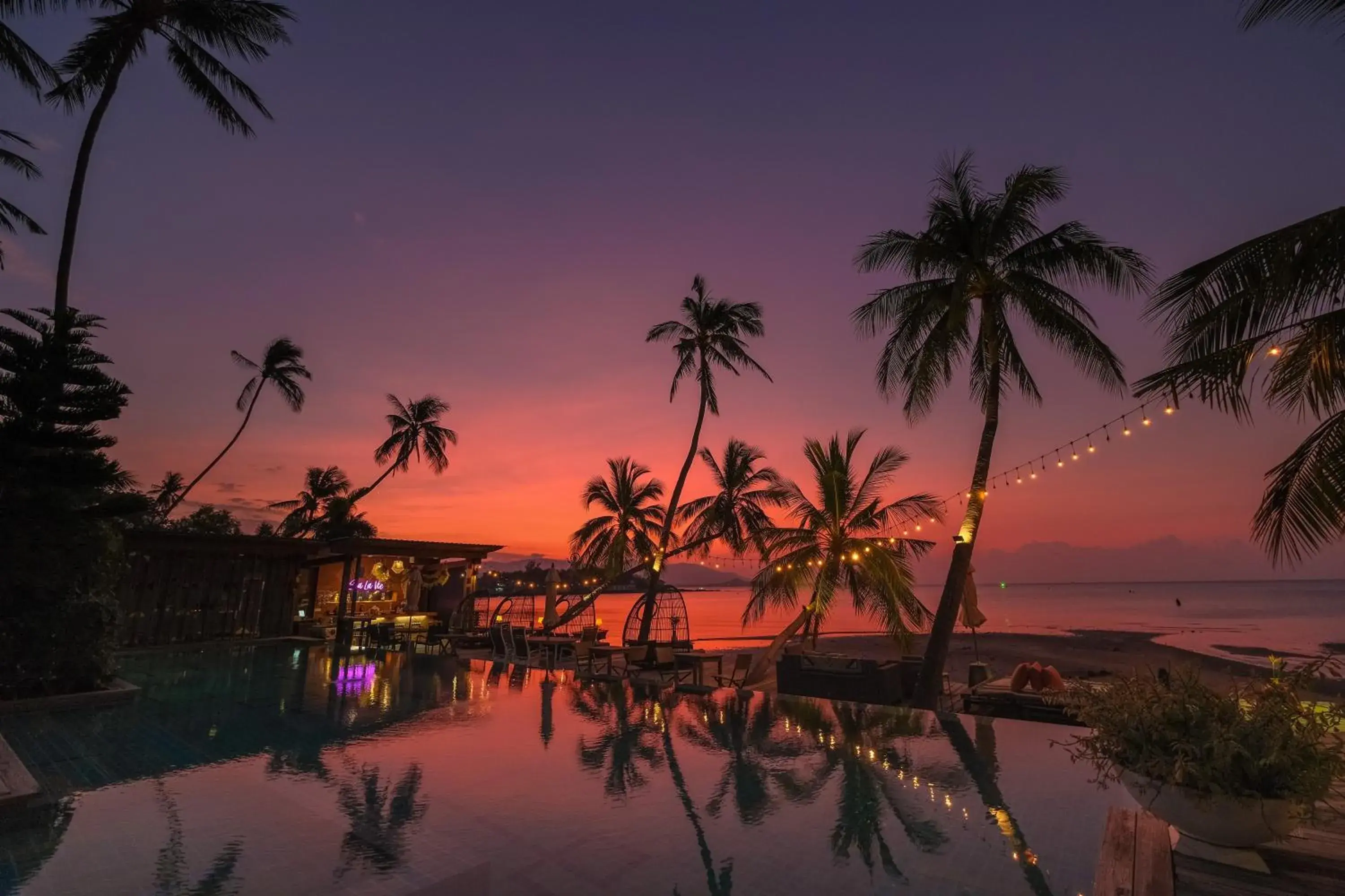 Natural landscape in Tango Luxe Beach Villa, Koh Samui - SHA Extra Plus