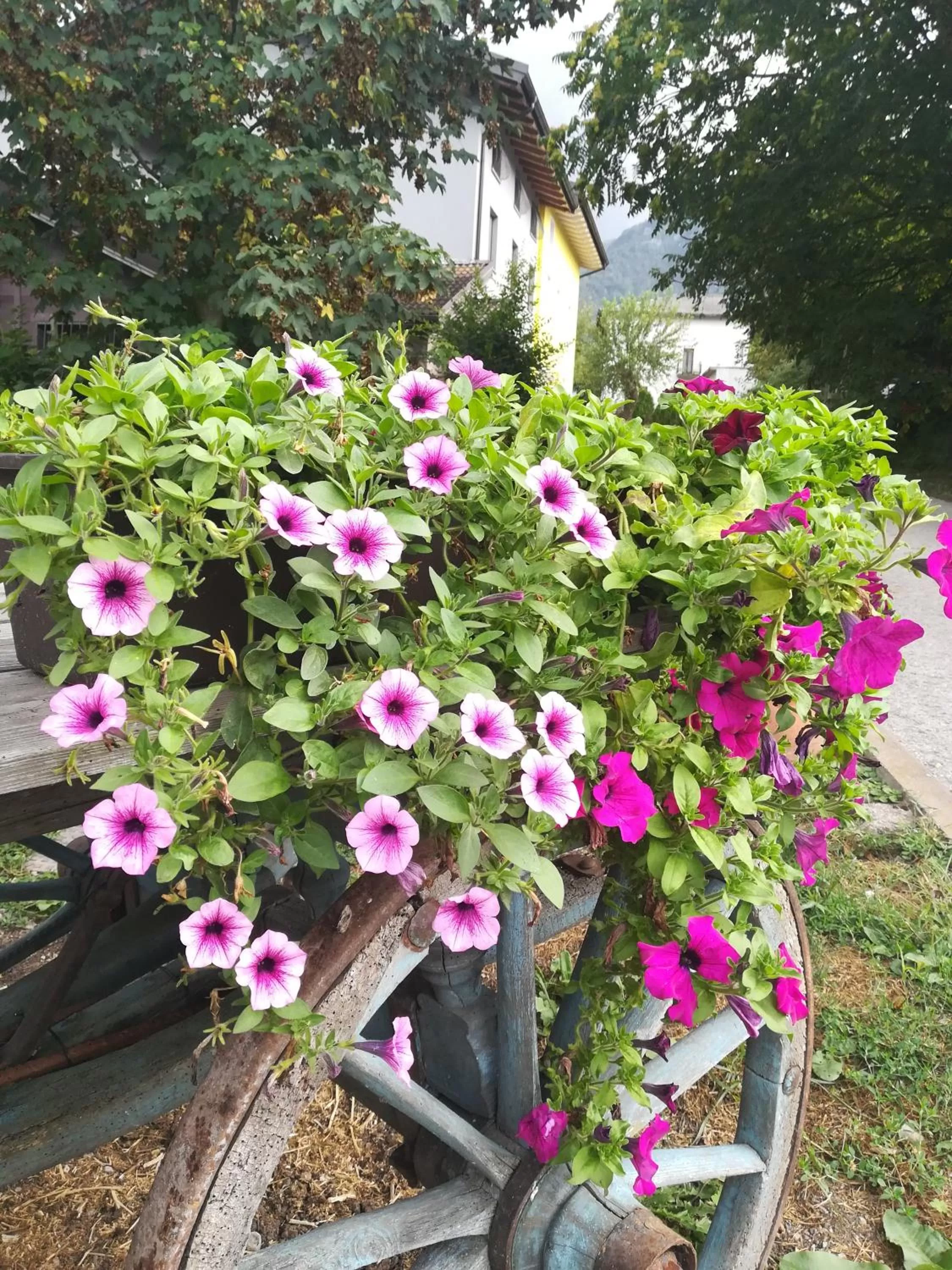 Garden in Agritur Airone Bed & Camping