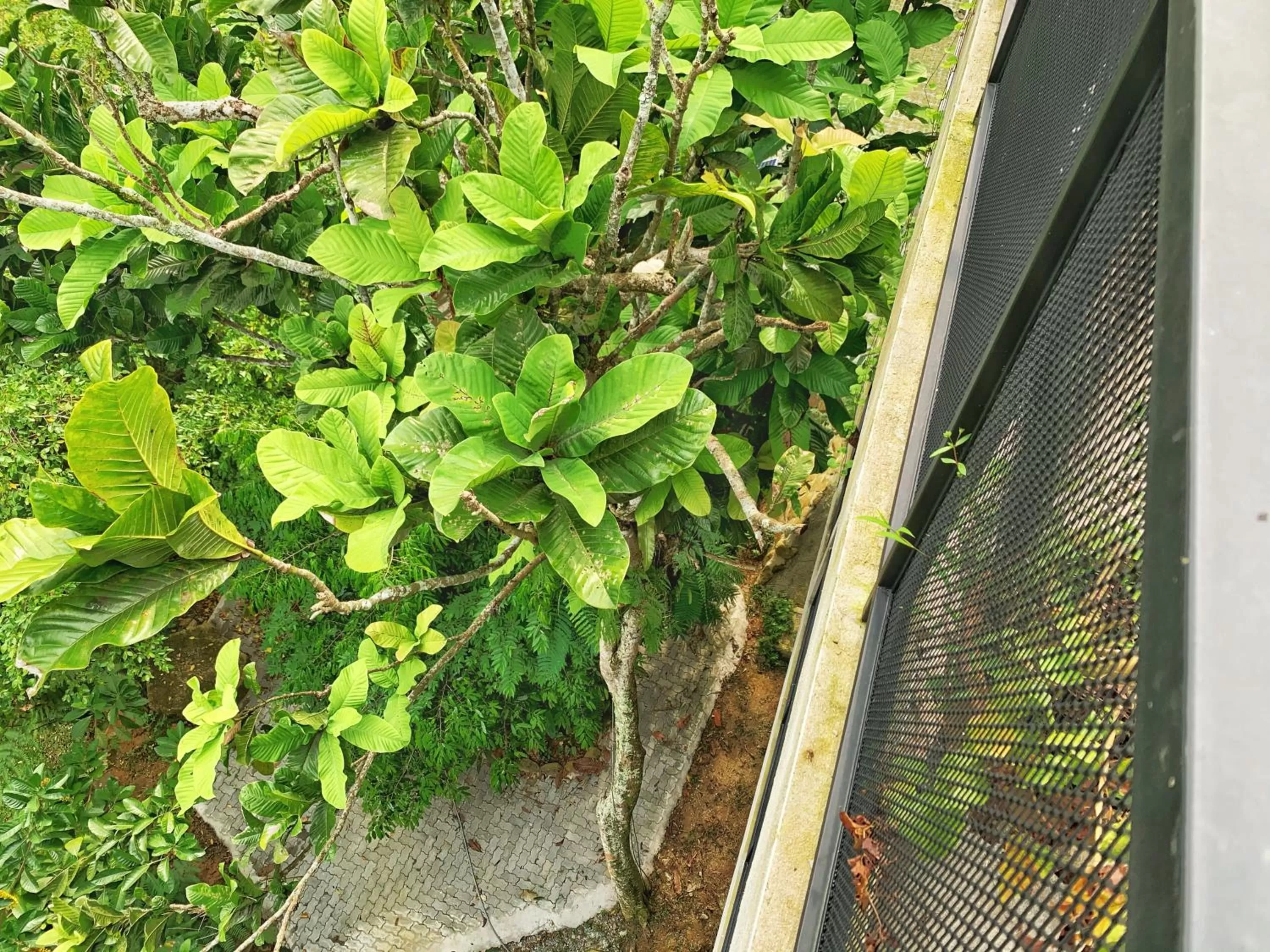 Harmony Valley Retreat