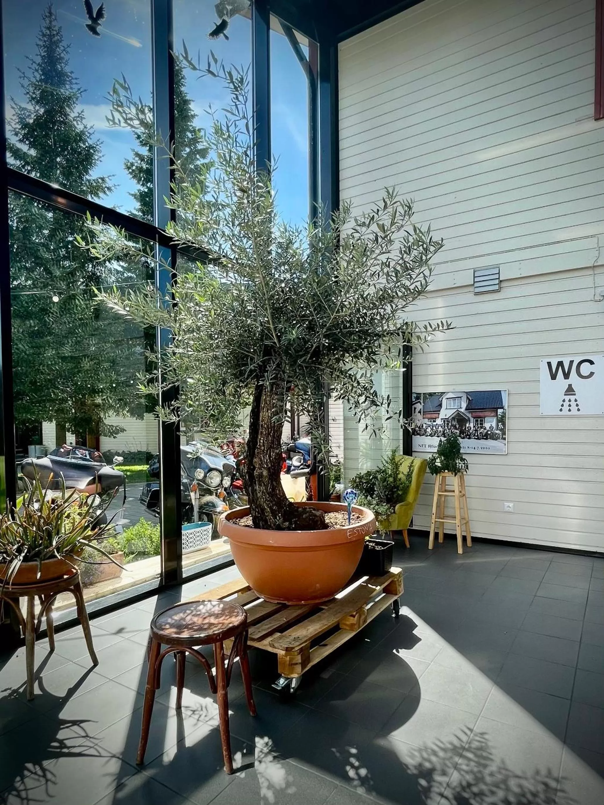 Patio in Aleksandri Guesthouse