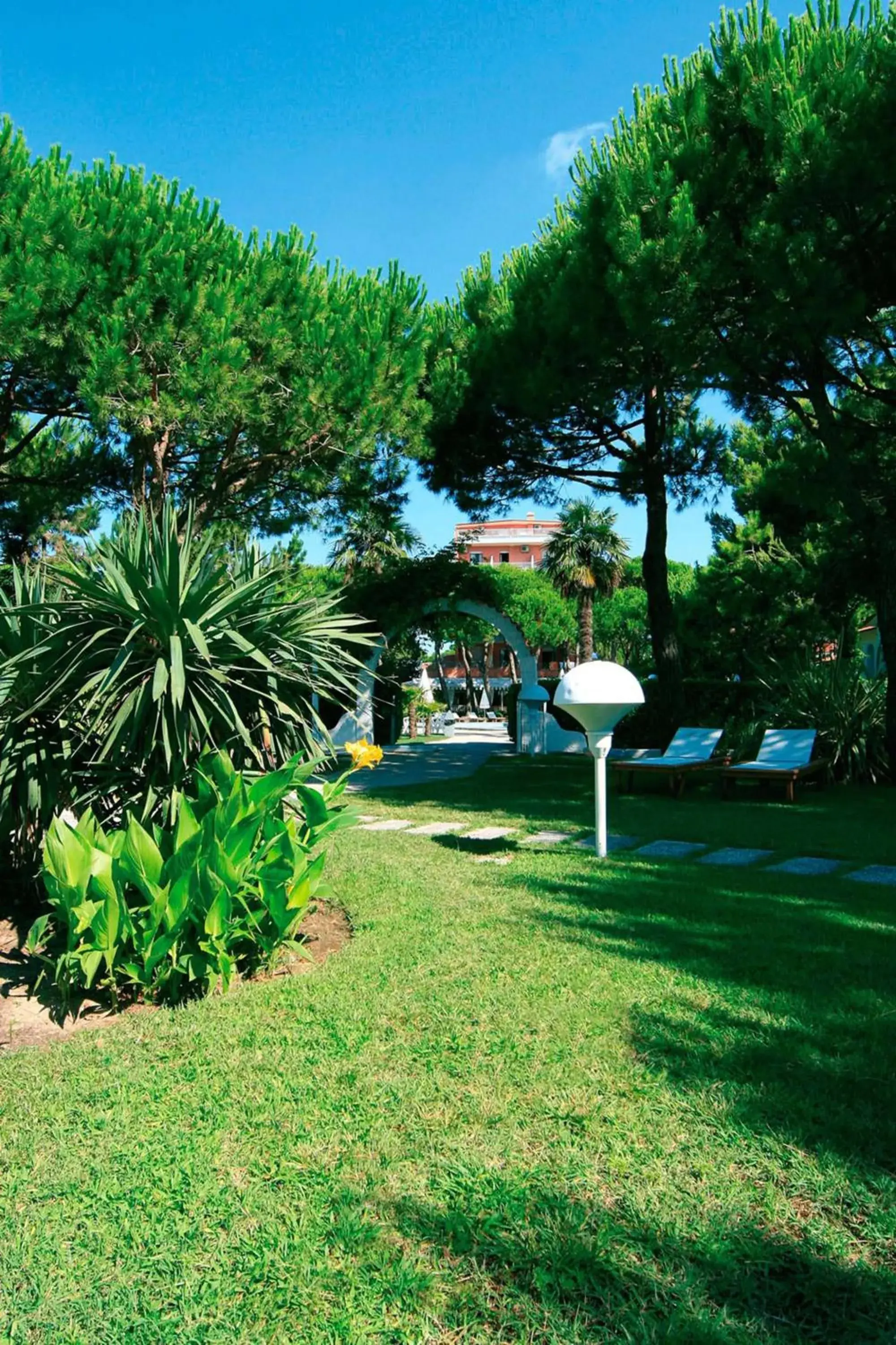 Garden in Hotel Maracaibo