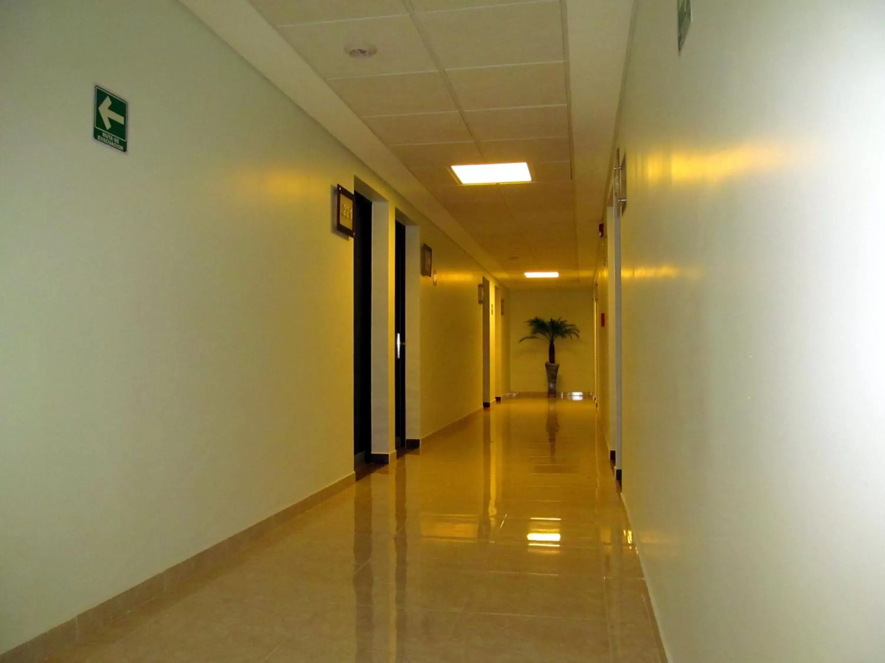 Area and facilities in Hotel & Suites PF