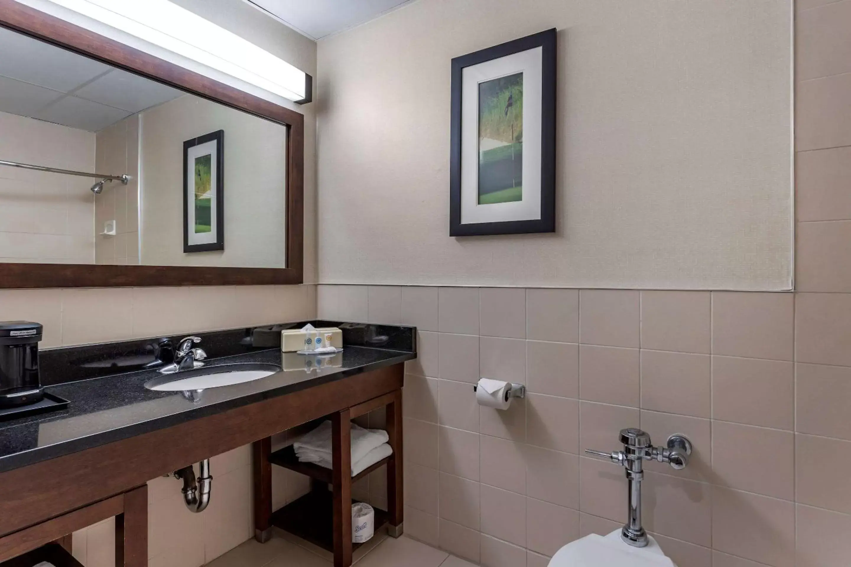 Bathroom in Comfort Inn Syosset-Long Island